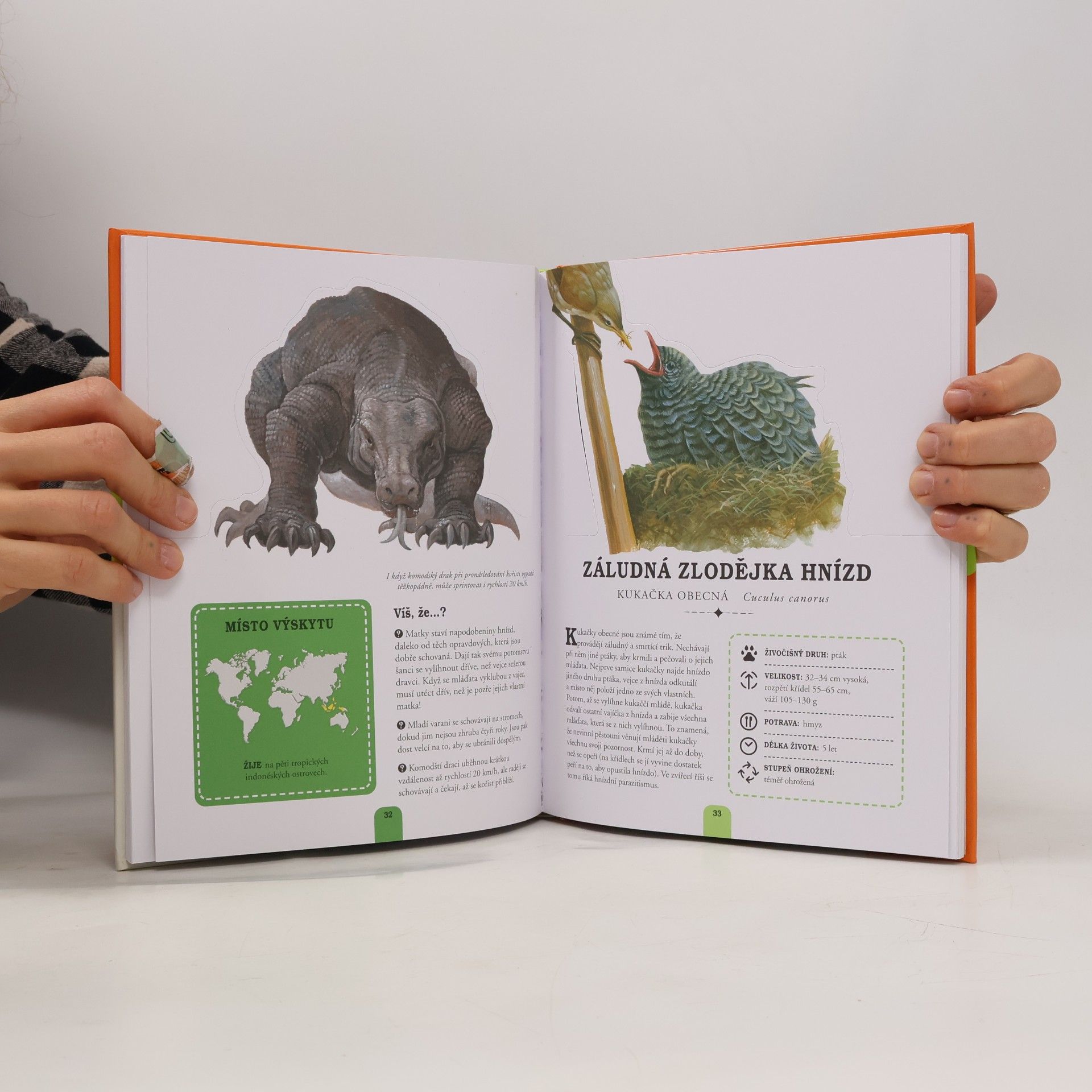 Autorenkollektiv Vytrhávanky: Zvířata