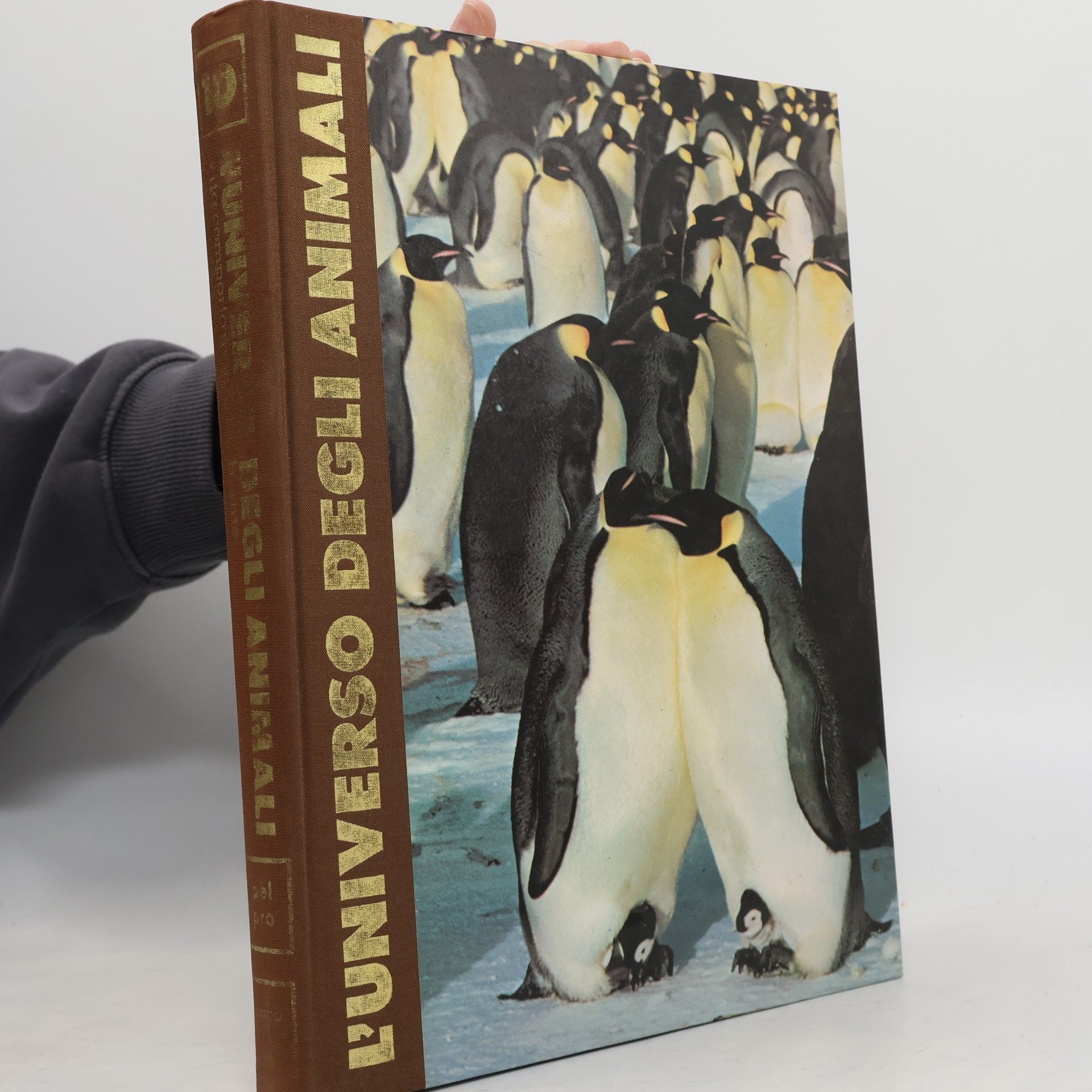 Various authors L'Universo Degli Animali 10