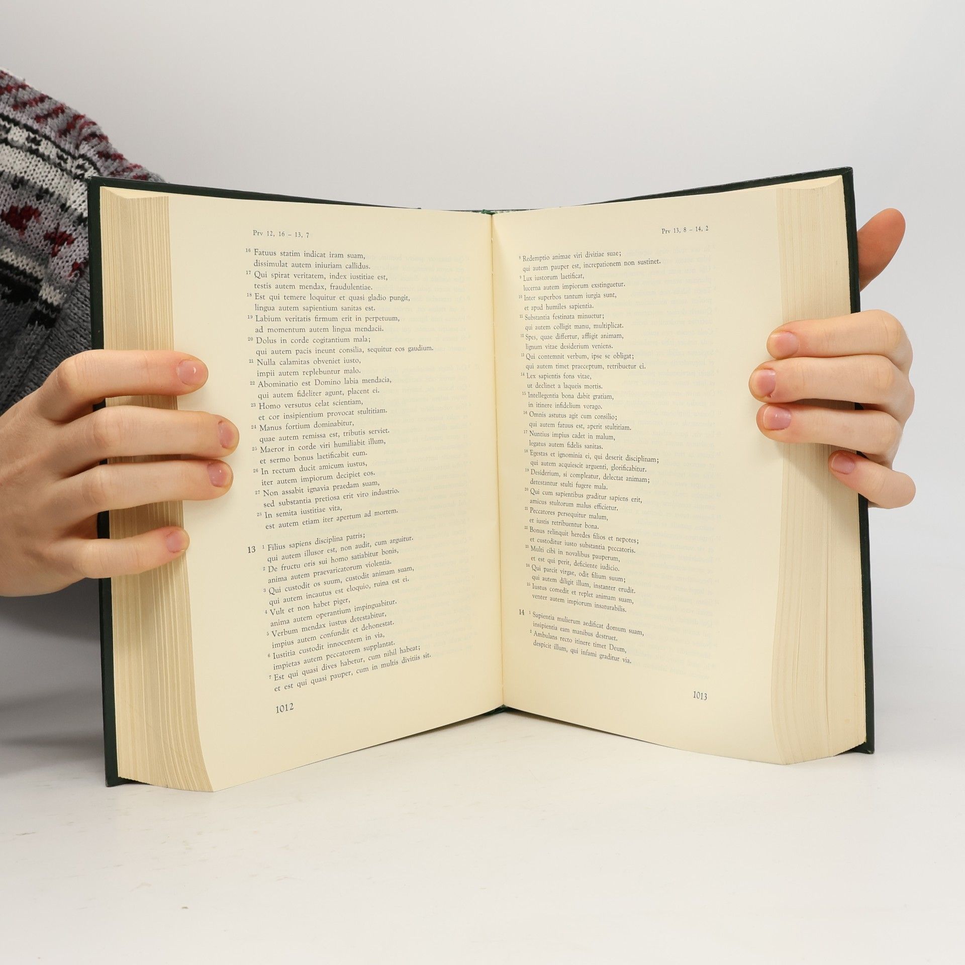 Autorenkollektiv Bibliorum Sacrorum