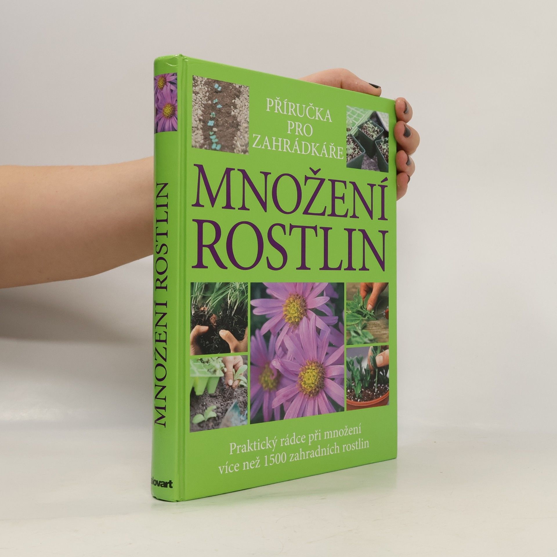 Množení rostlin