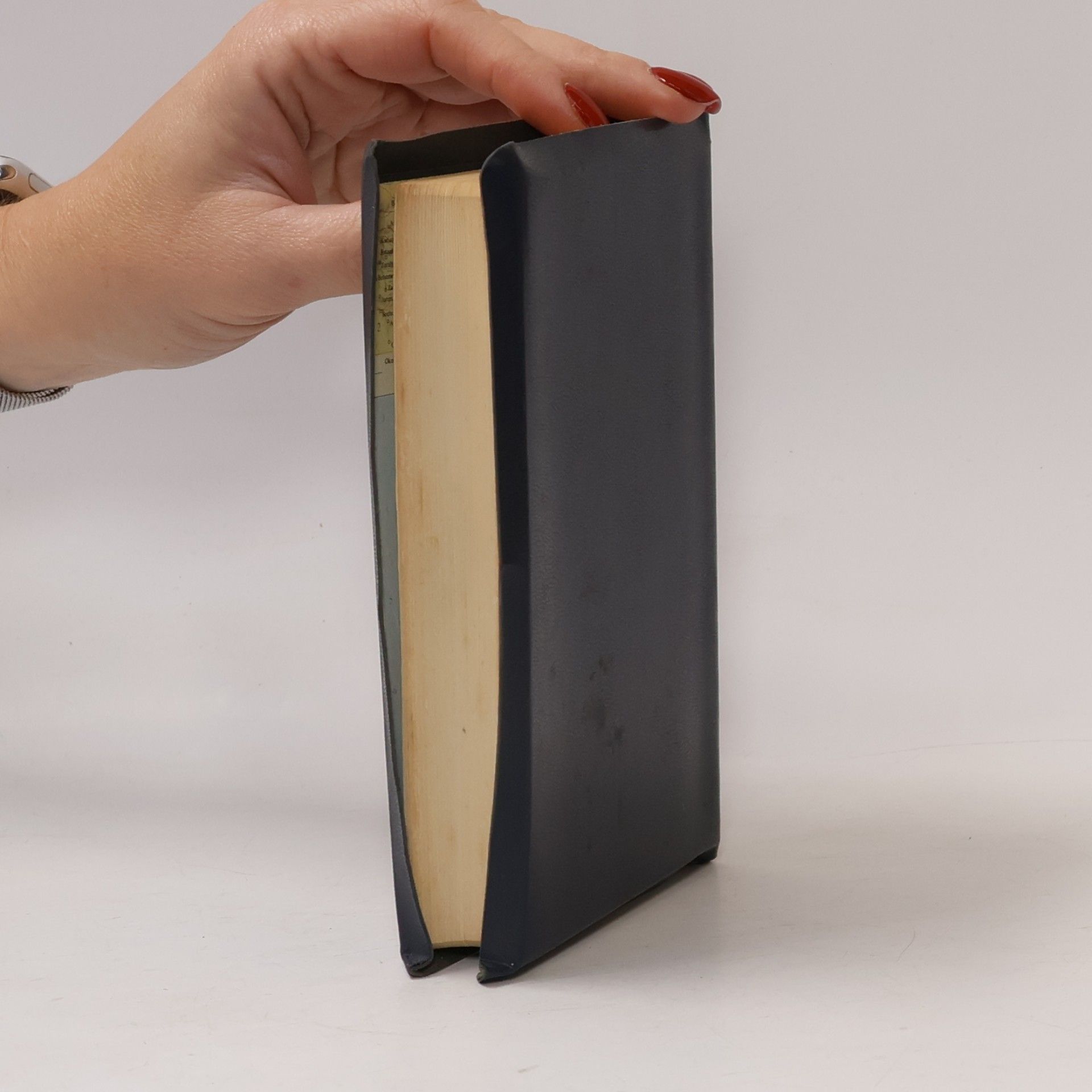 Kolektiv autorů Bible svatá