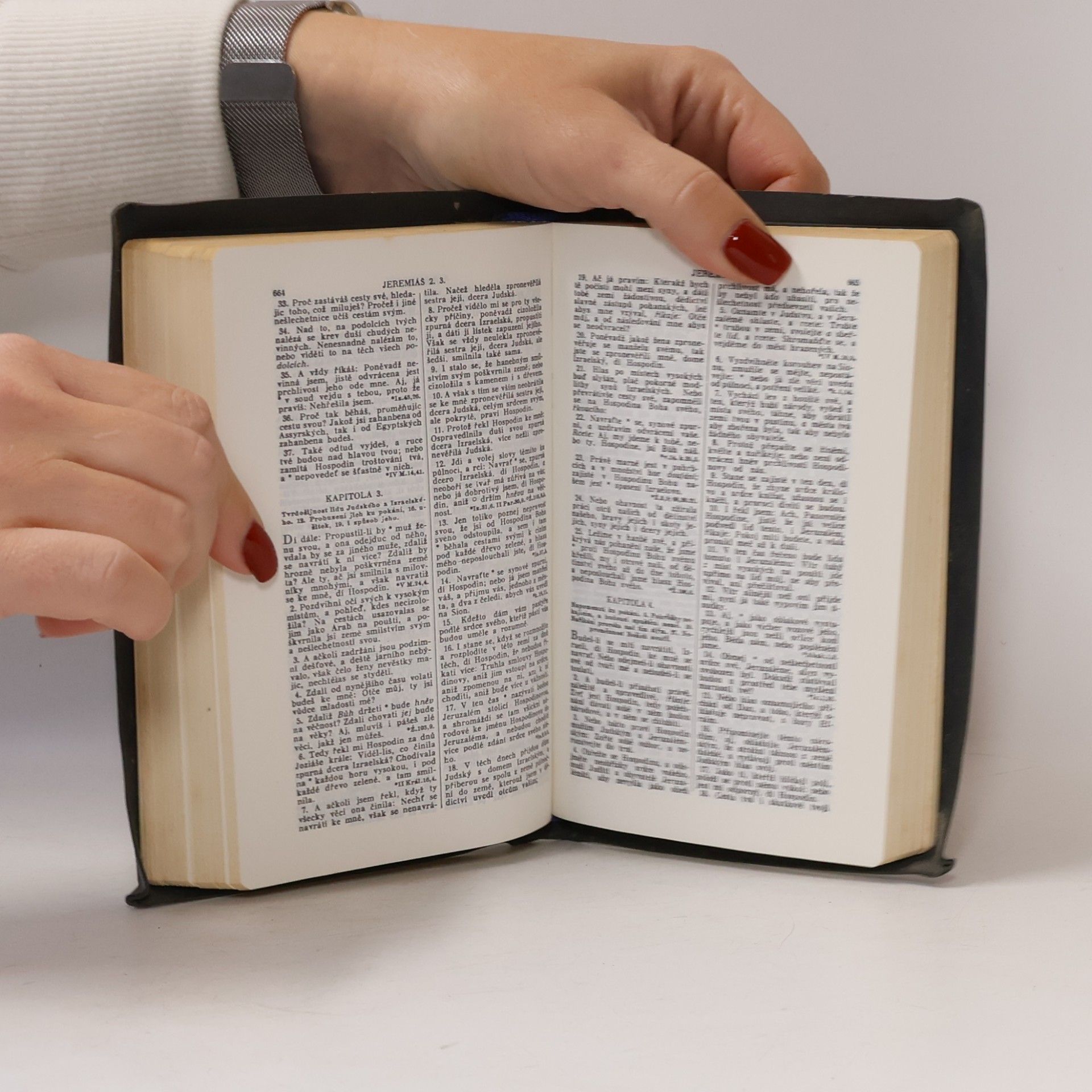 Kolektiv autorů Bible svatá