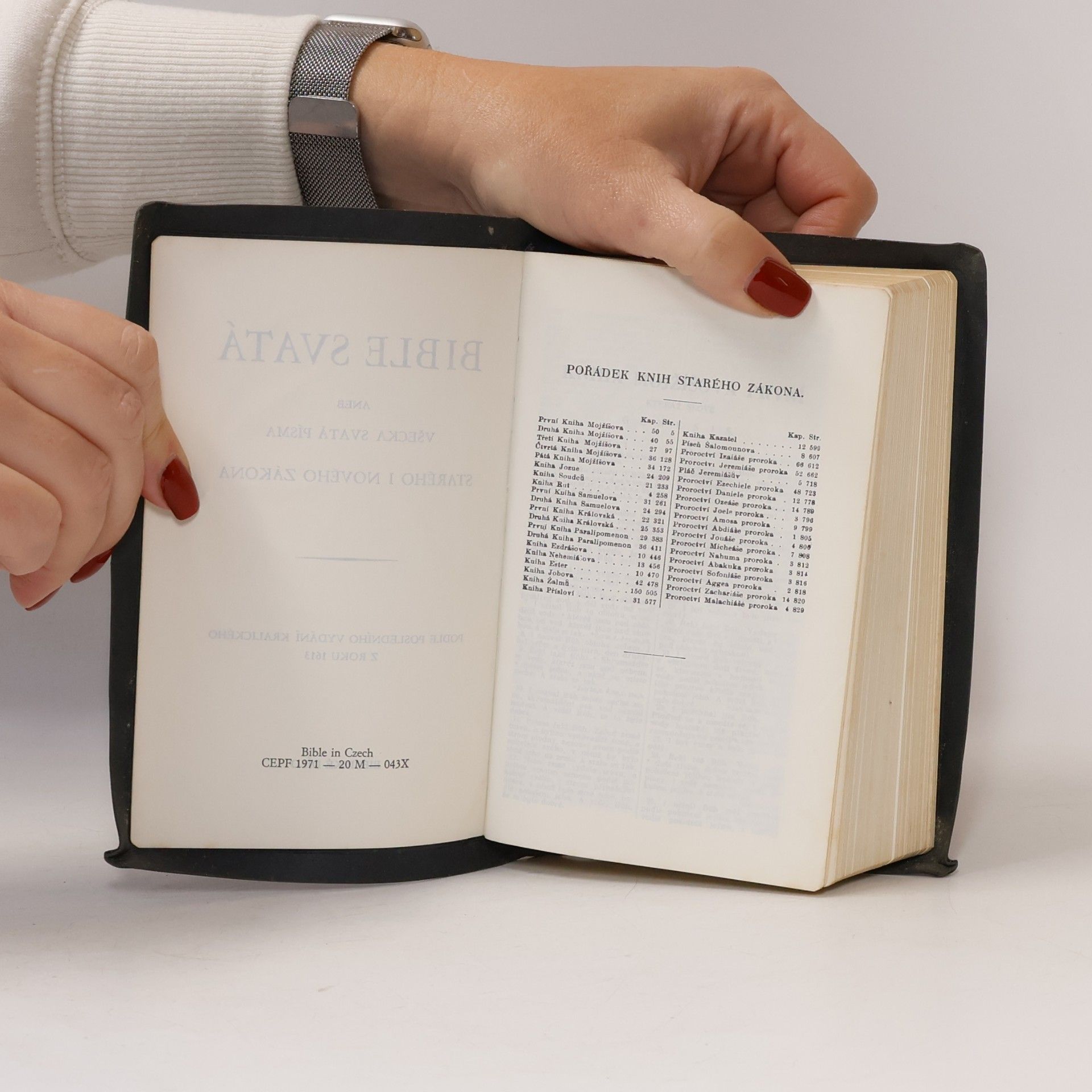 Kolektiv autorů Bible svatá