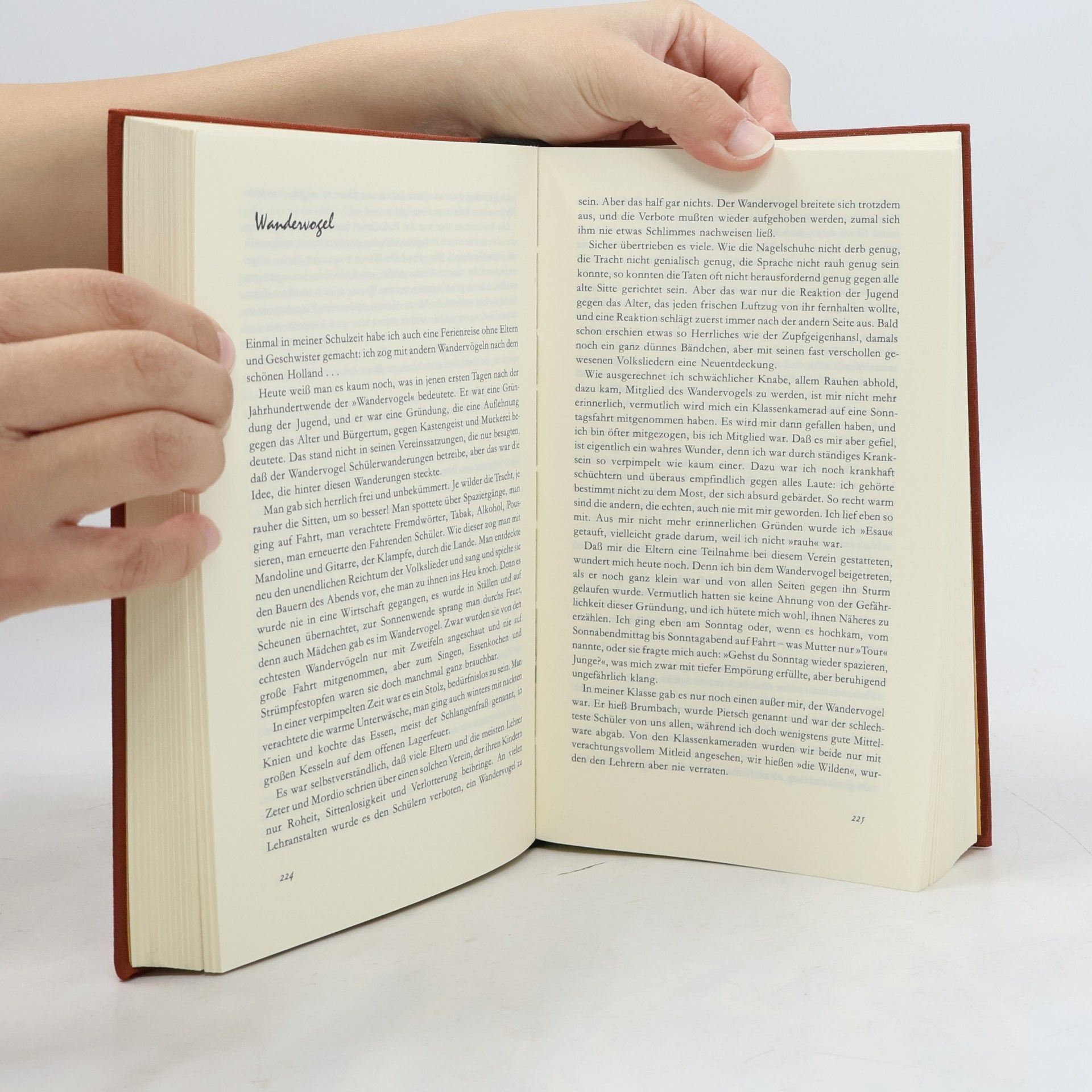 Hans Fallada Damals bei uns daheim