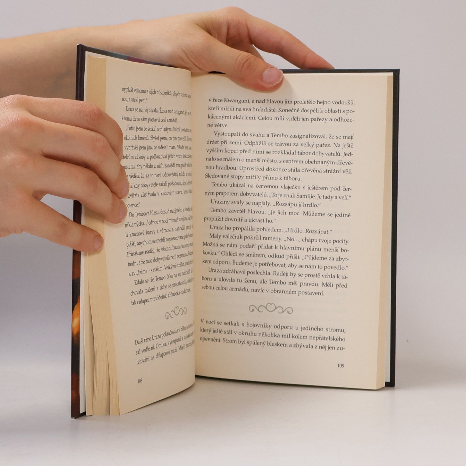 Brandon Mull Příběhy Velkých strážců