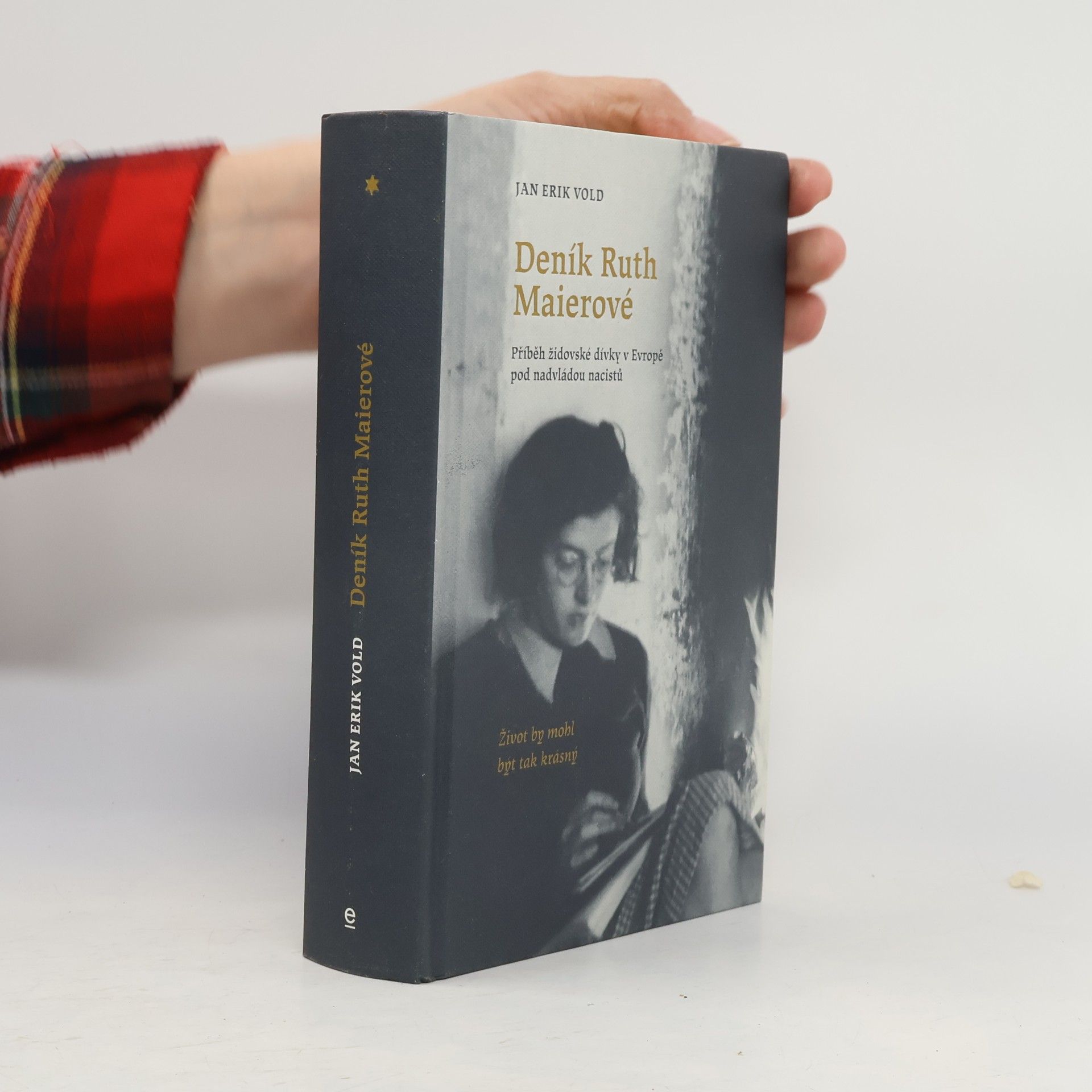 Jan Erik Vold Deník Ruth Maierové