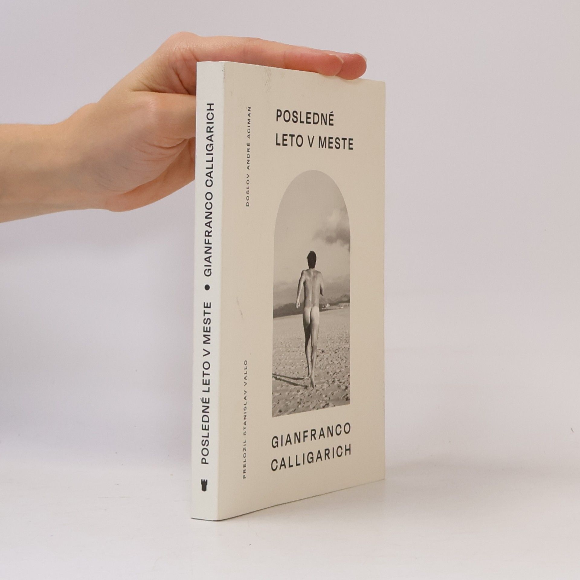 Gianfranco Calligarich Posledné leto v meste
