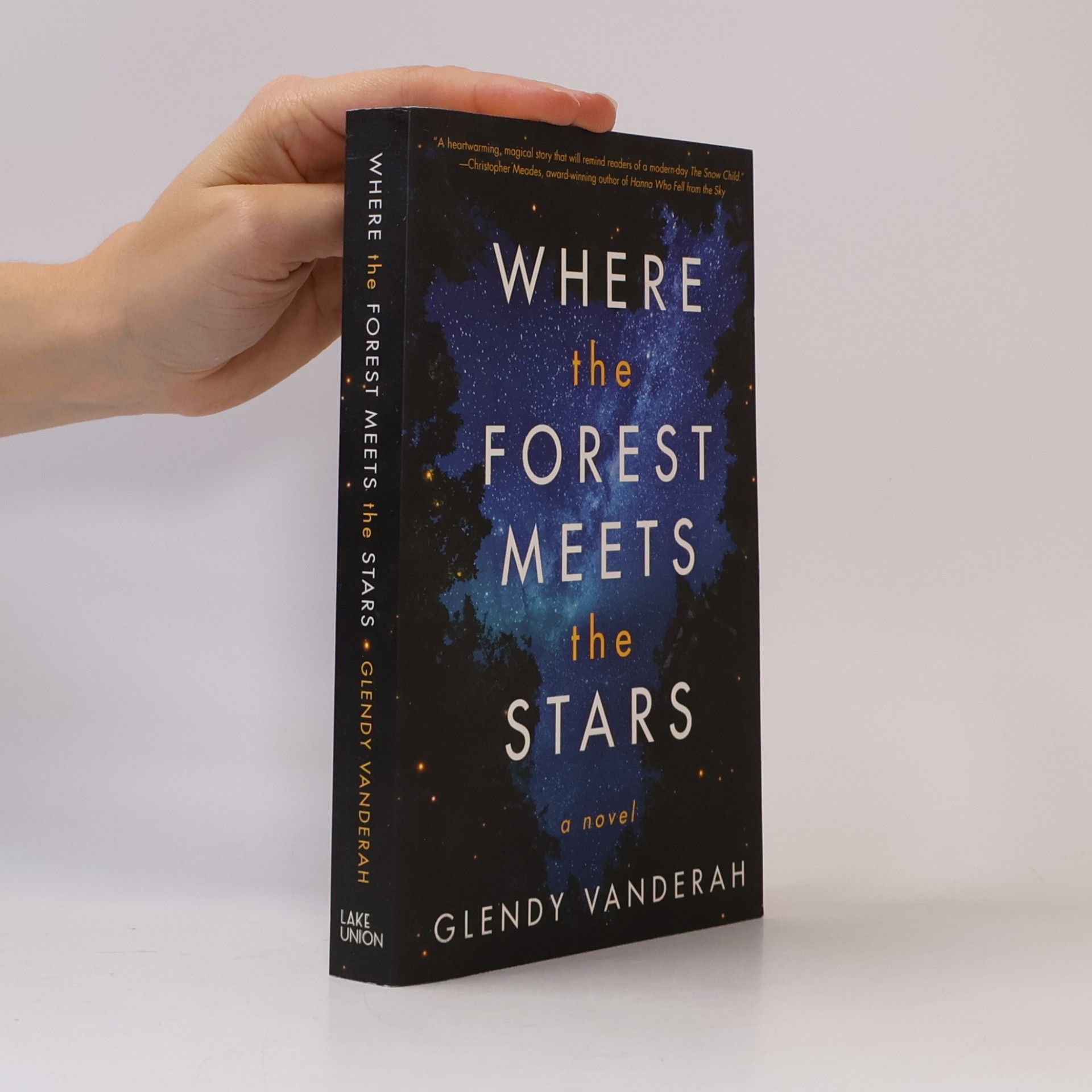 Glendy Vanderah Where the Forest Meets the Stars