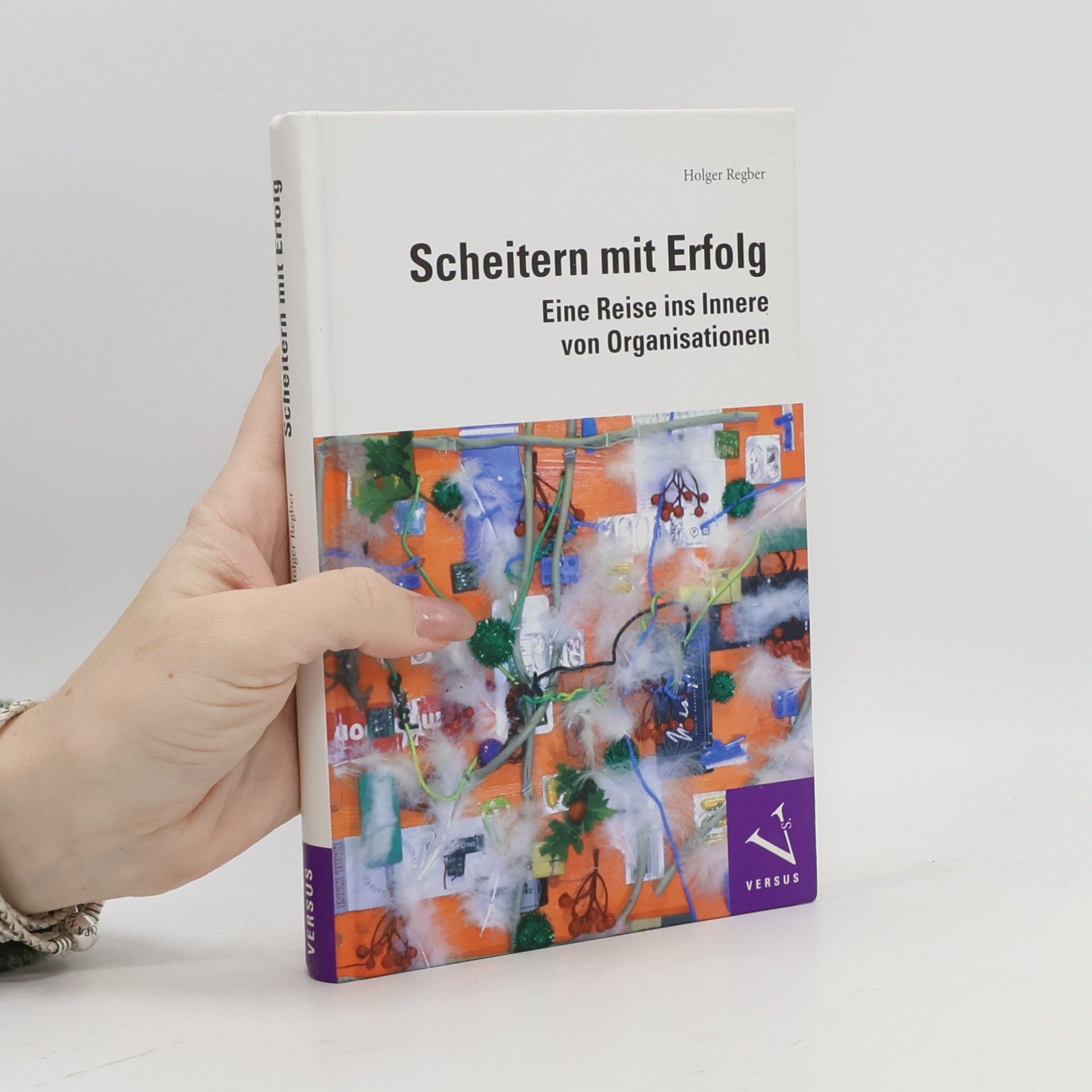 Holger Regber Scheitern mit Erfolg