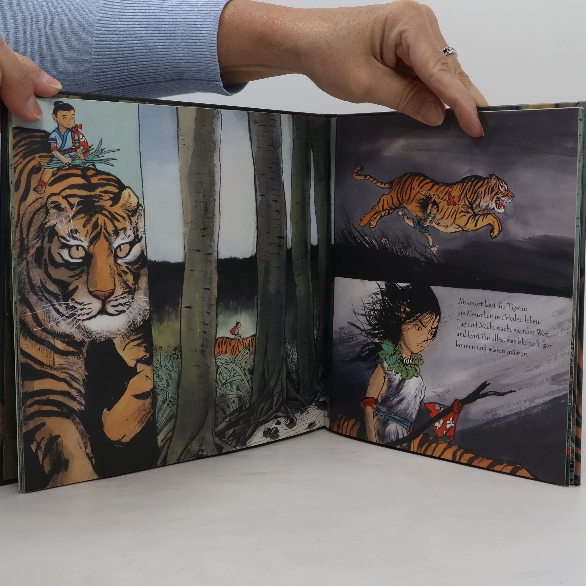Jiang Hong Chen Der Tigerprinz