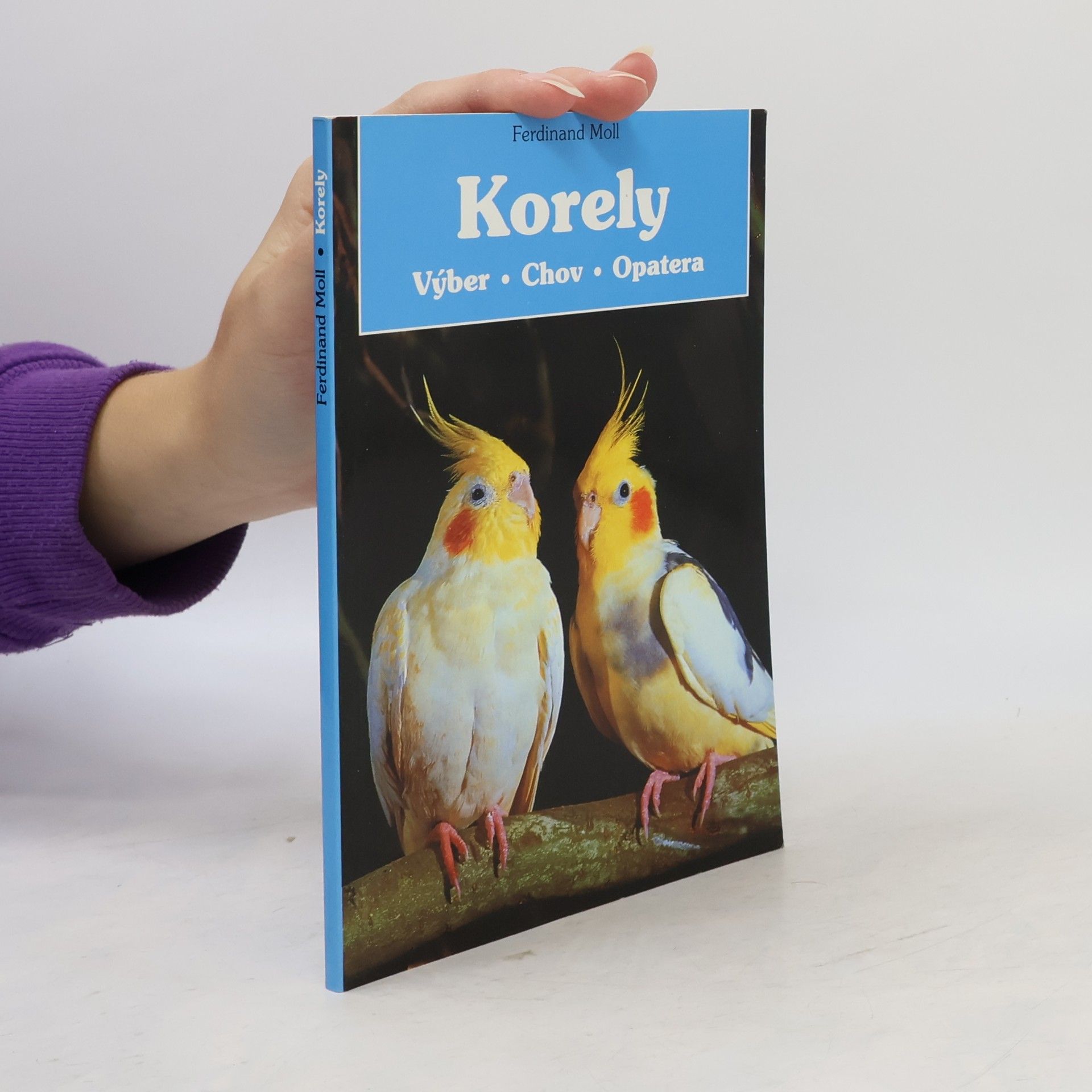 Korely - Výběr, chov, péče