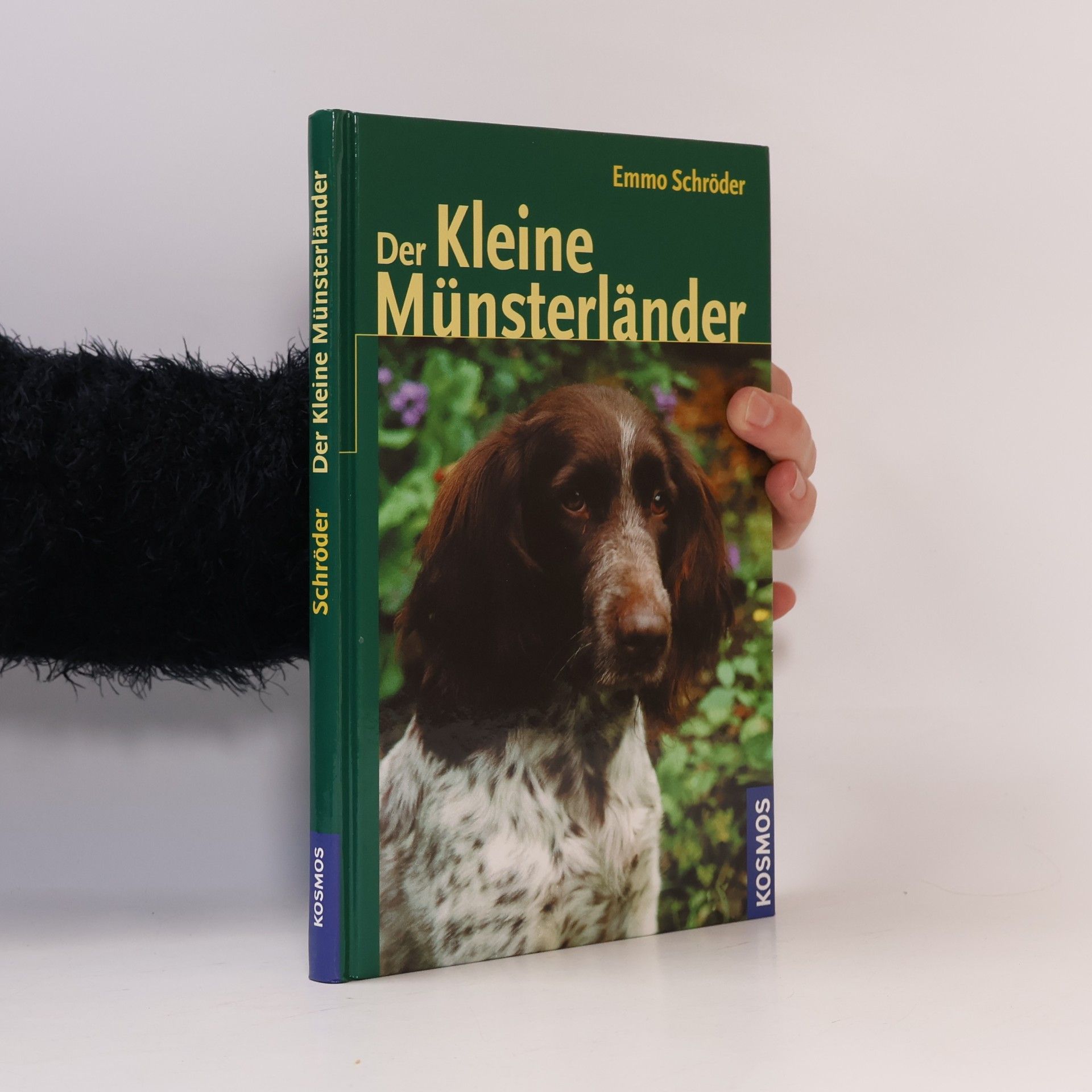 Der Kleine Münsterländer