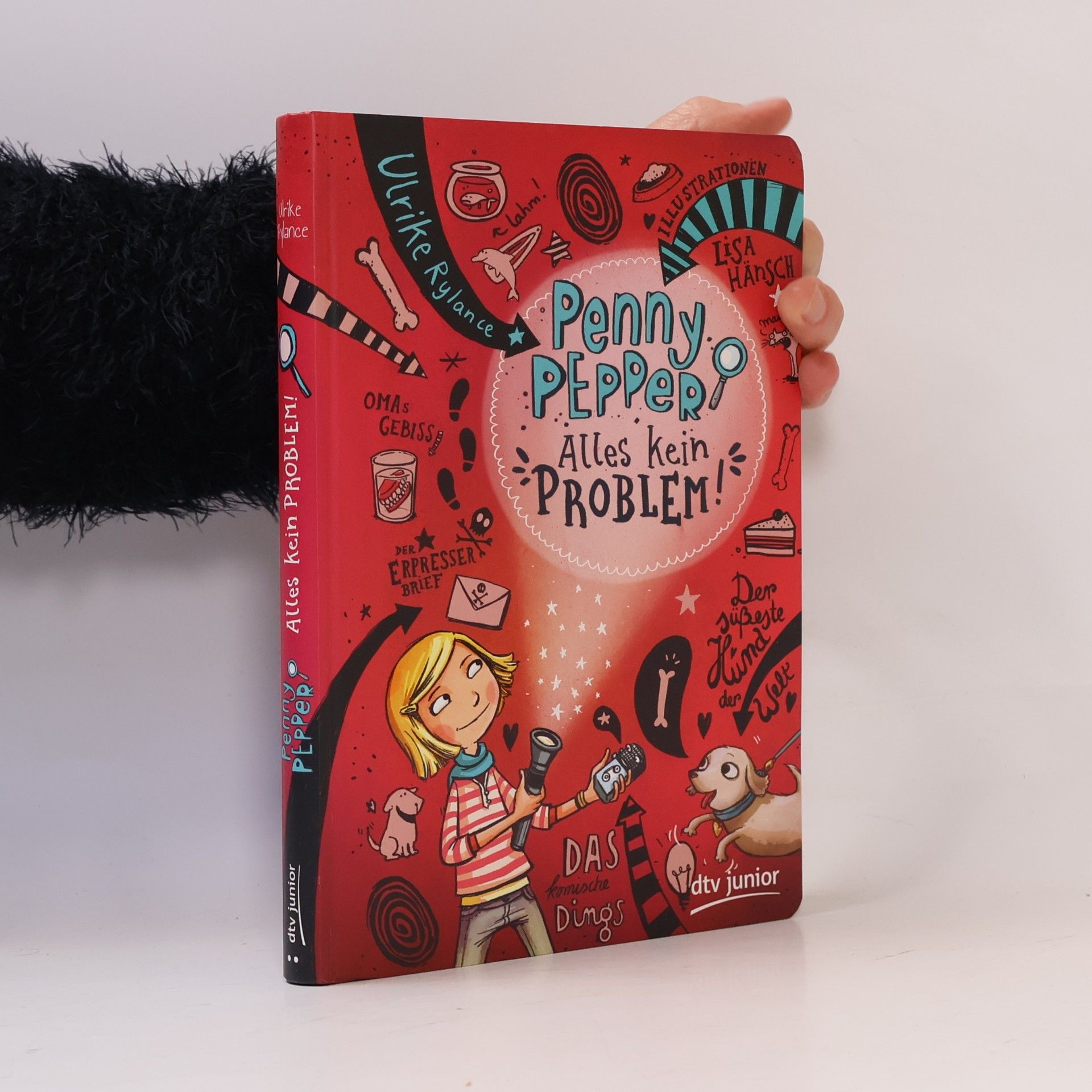 Lisa Hänsch Penny Pepper. Alarm auf der Achterbahn