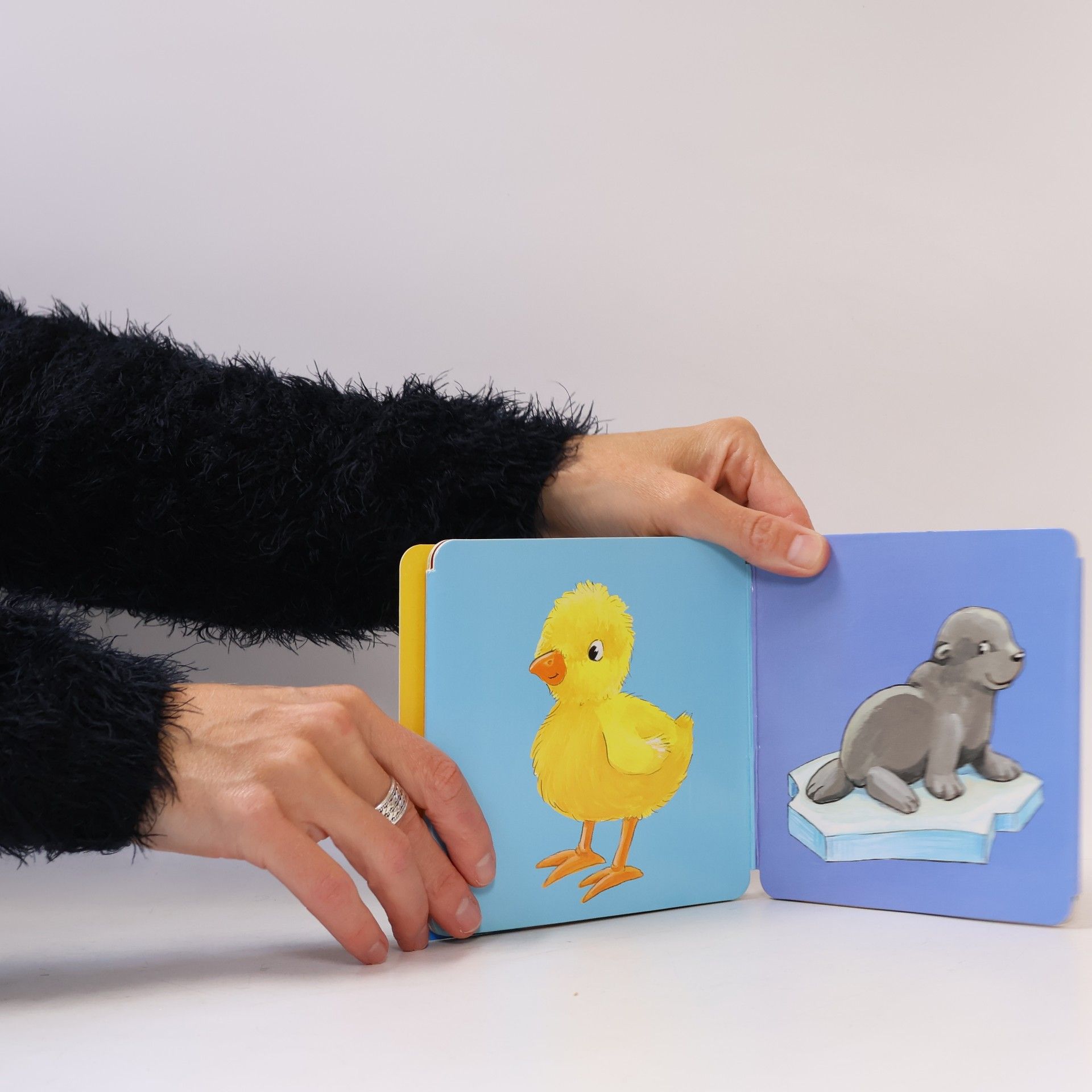 Antje Flad Tierkinder