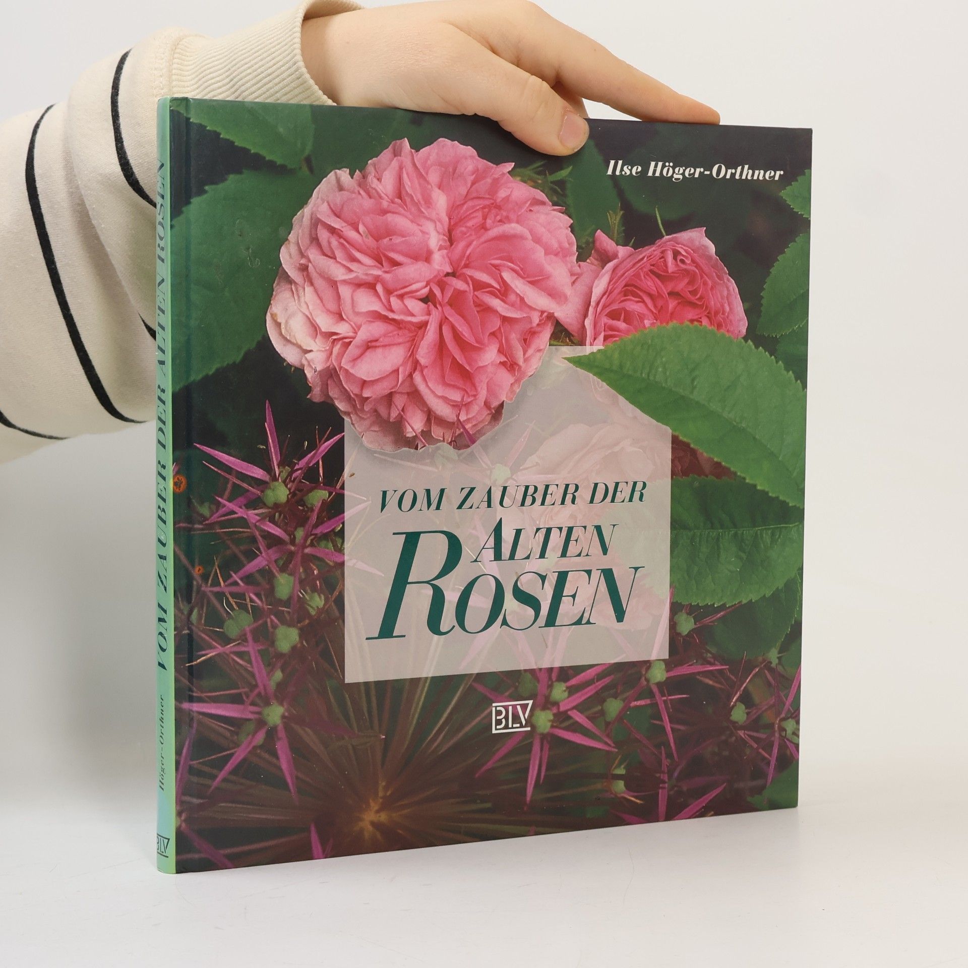Vom Zauber der alten Rosen