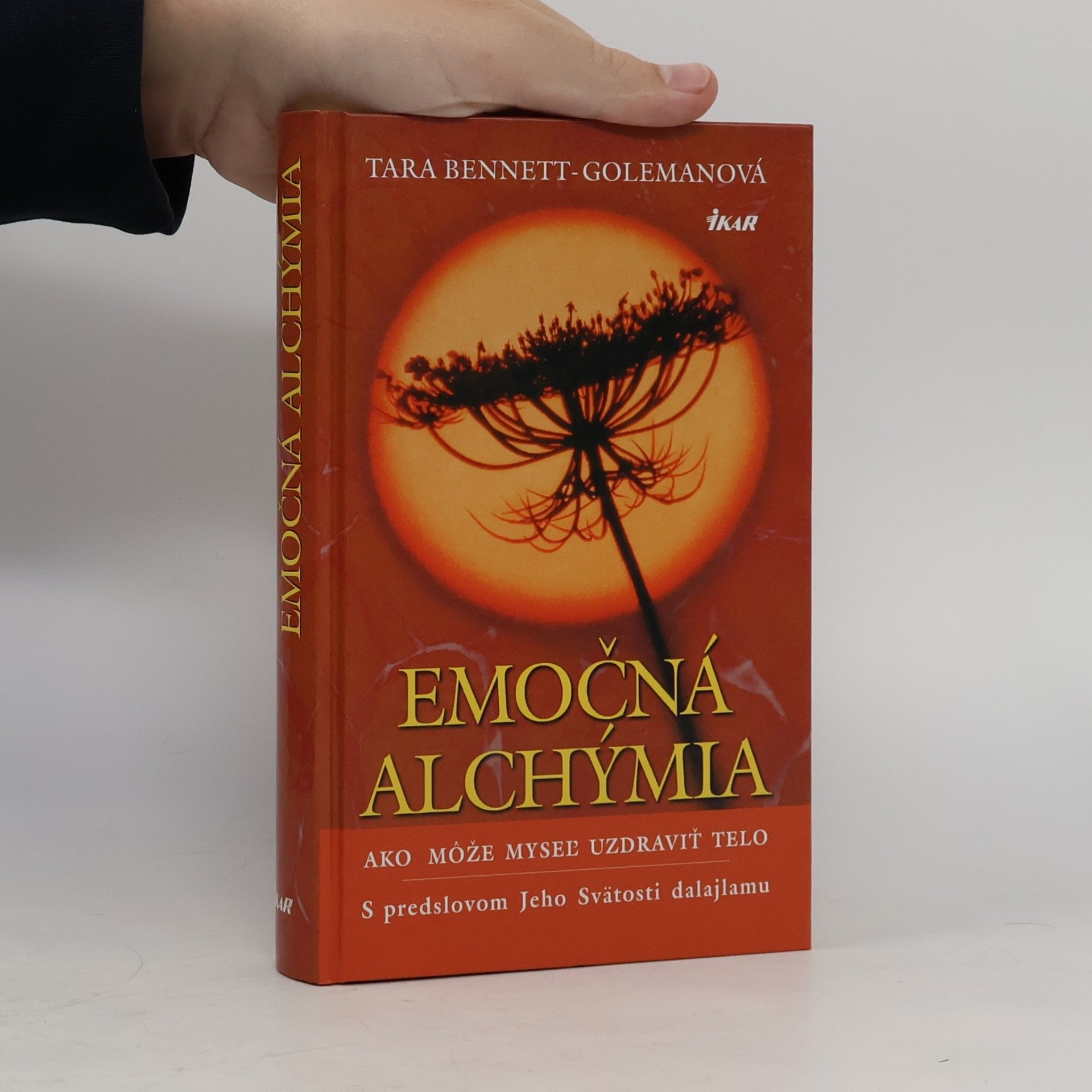 Tara BennettGoleman Emočná alchýmia