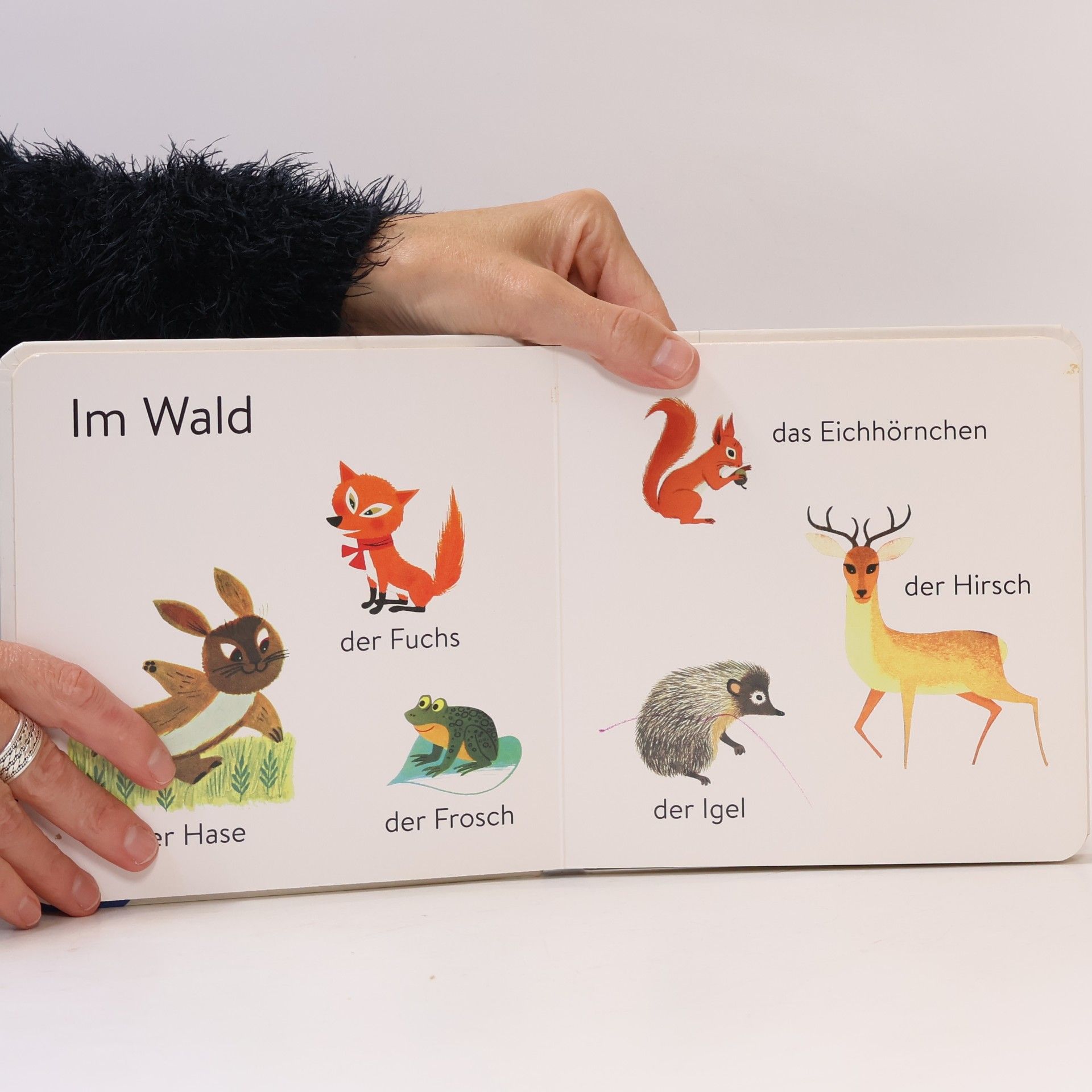 Alain Grée Mein erstes Buch: Tiere