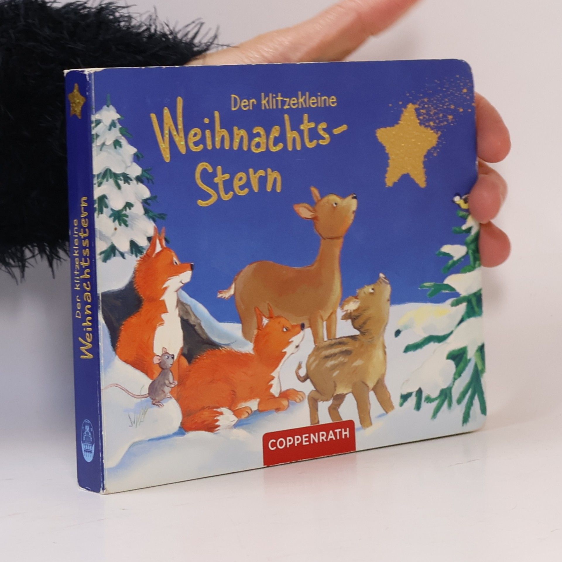 Der klitzekleine Weihnachtsstern