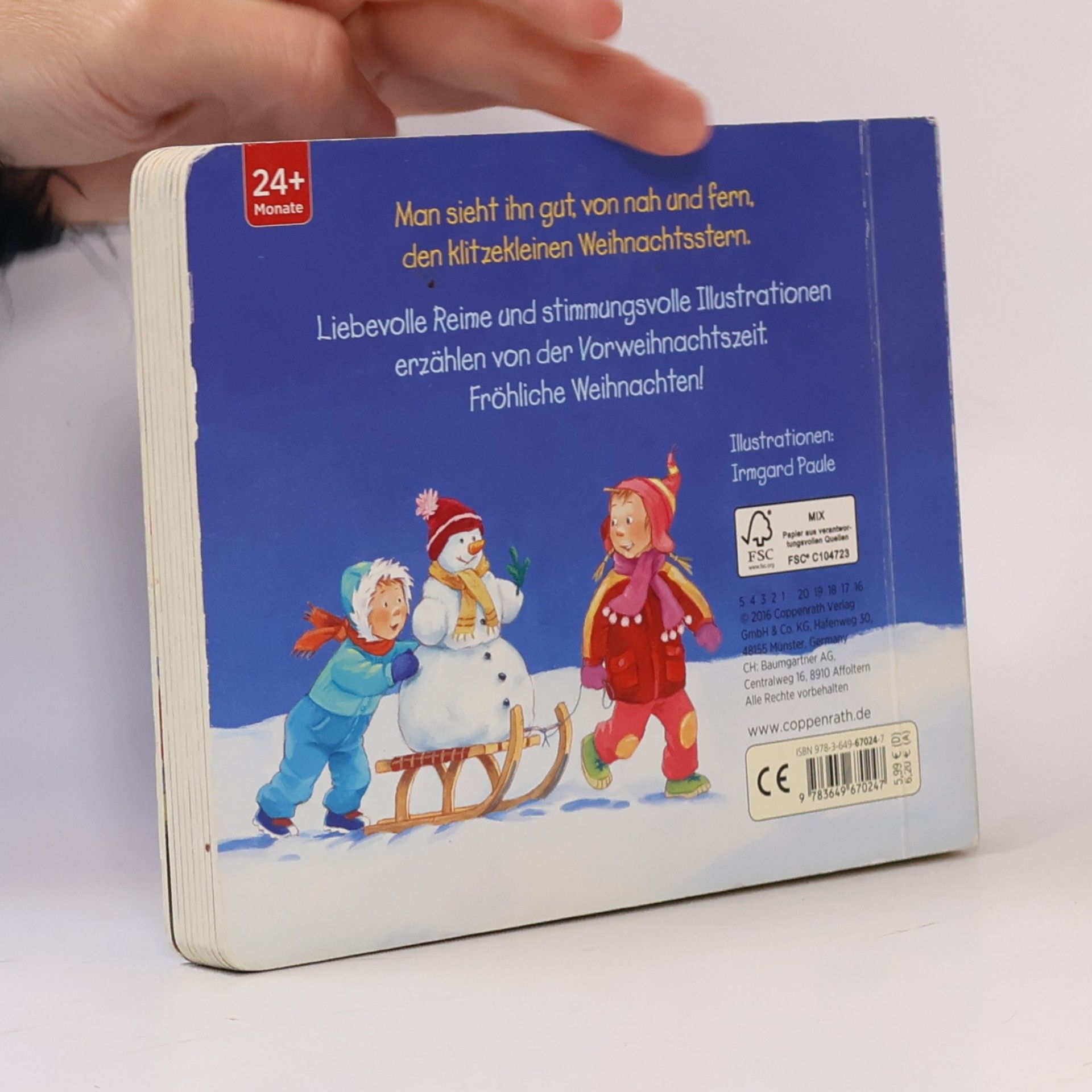 Irmgard Paule Der klitzekleine Weihnachtsstern