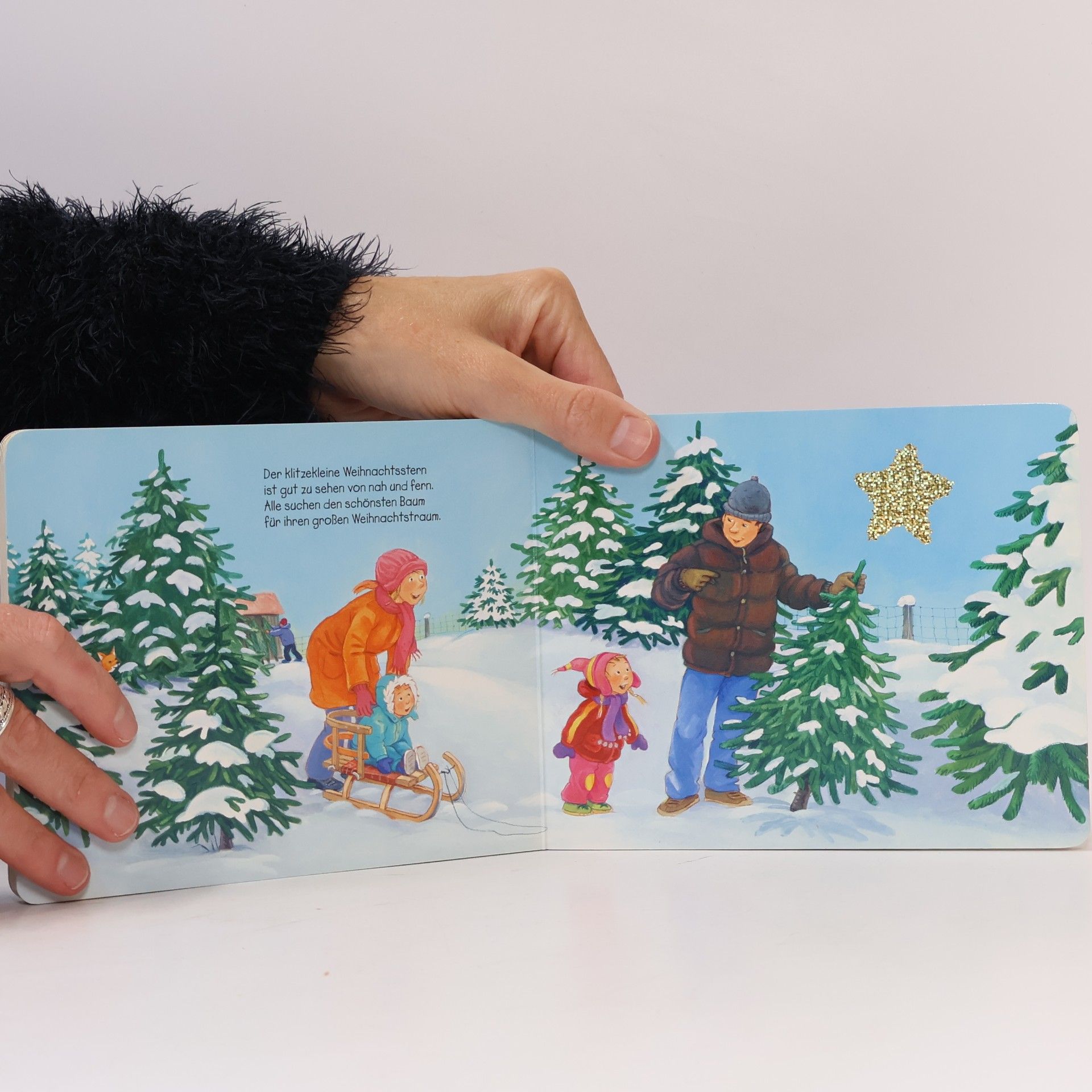 Irmgard Paule Der klitzekleine Weihnachtsstern