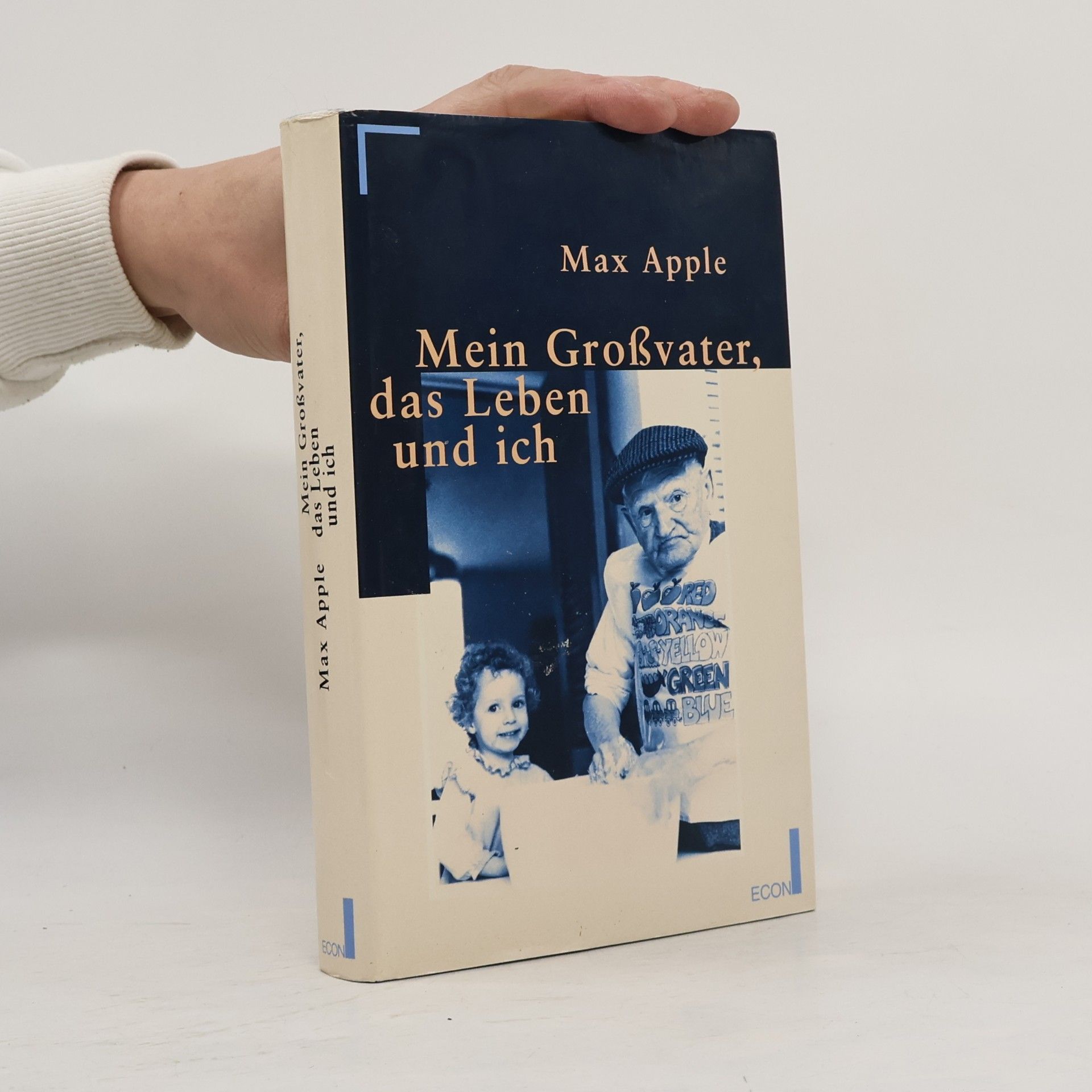 Max Apple Mein Grossvater, das Leben und ich