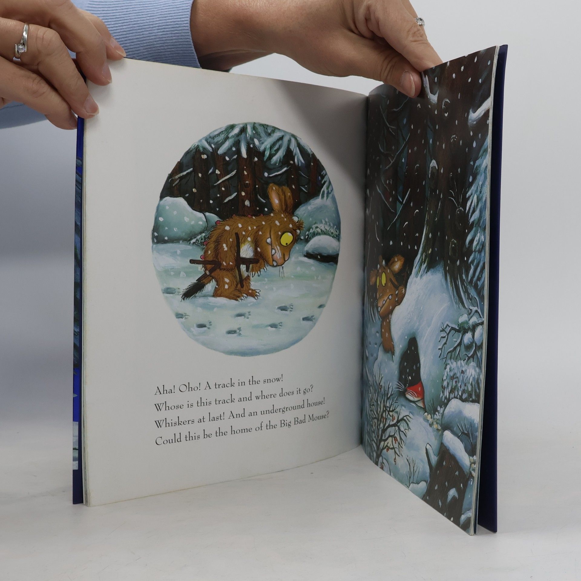 Various authors The Gruffalo's Child 15th Anniversary Edition