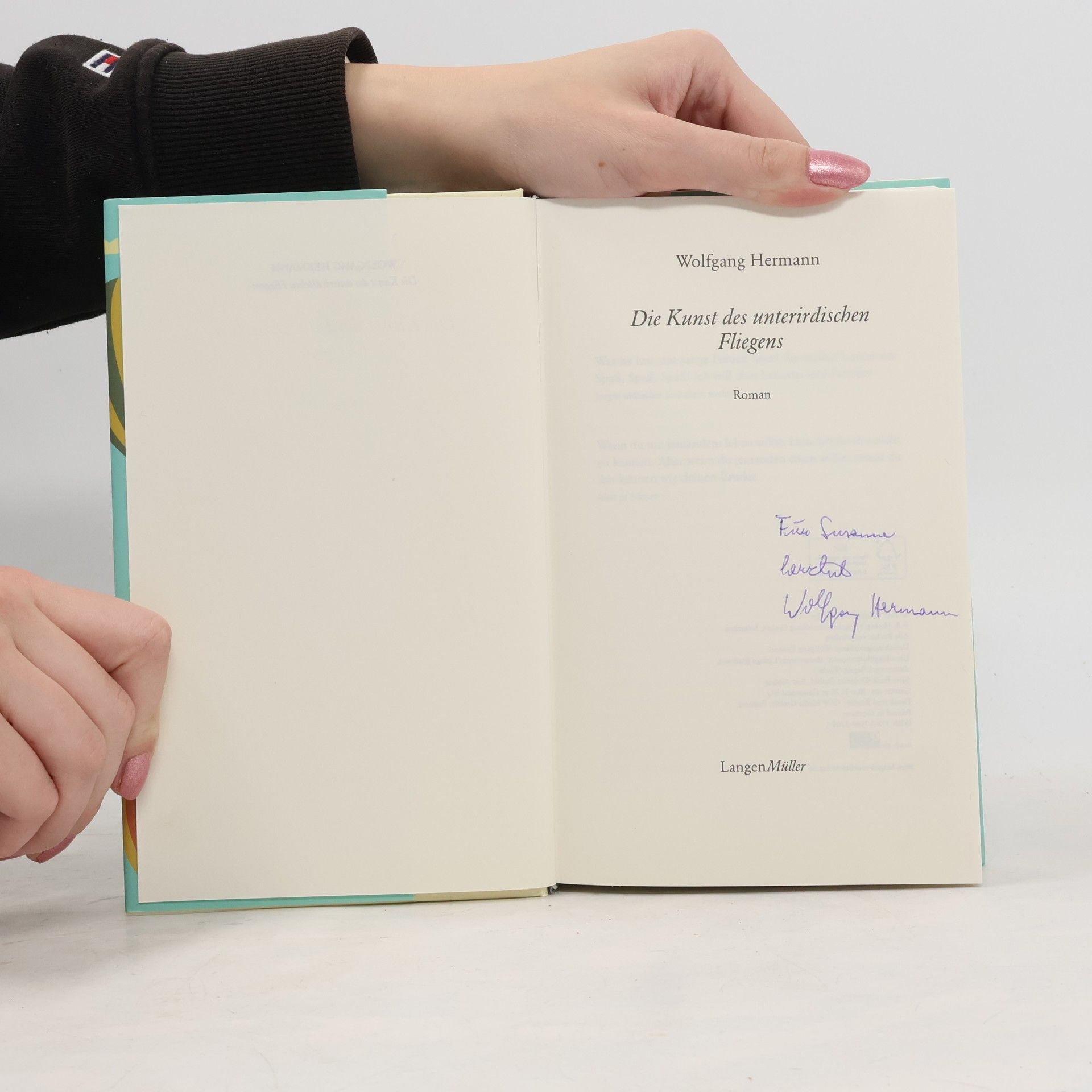Wolfgang Hermann Die Kunst des unterirdischen Fliegens