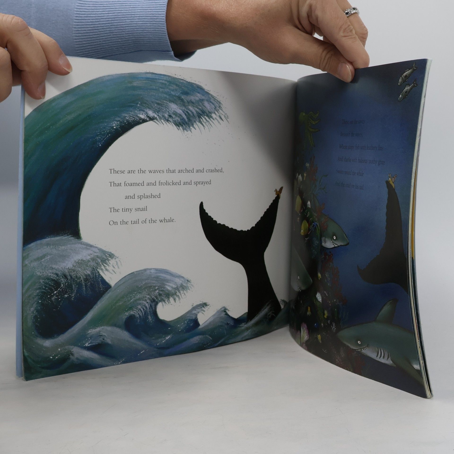 Julia Donaldson Snail and the Whale