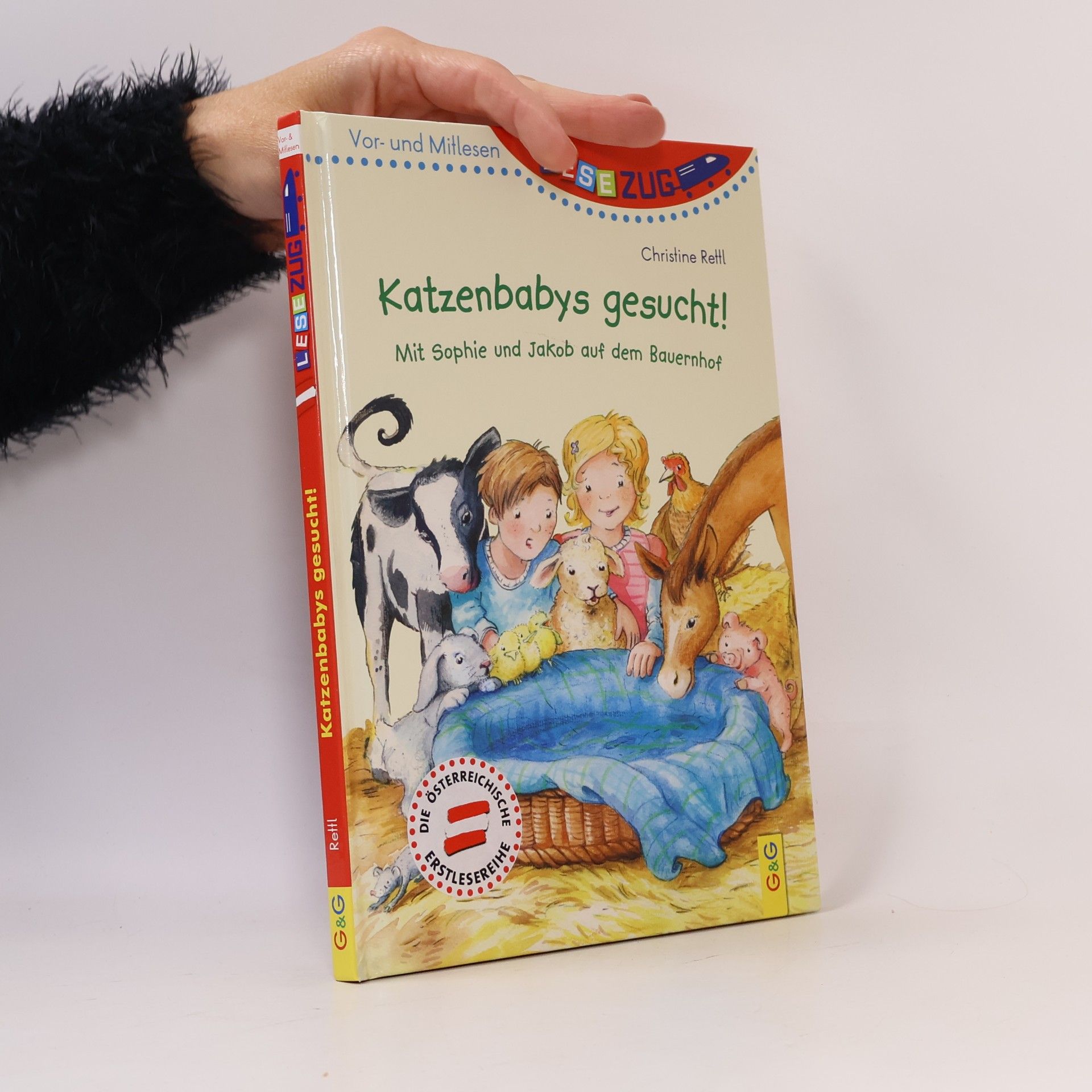 Katzenbabys gesucht!