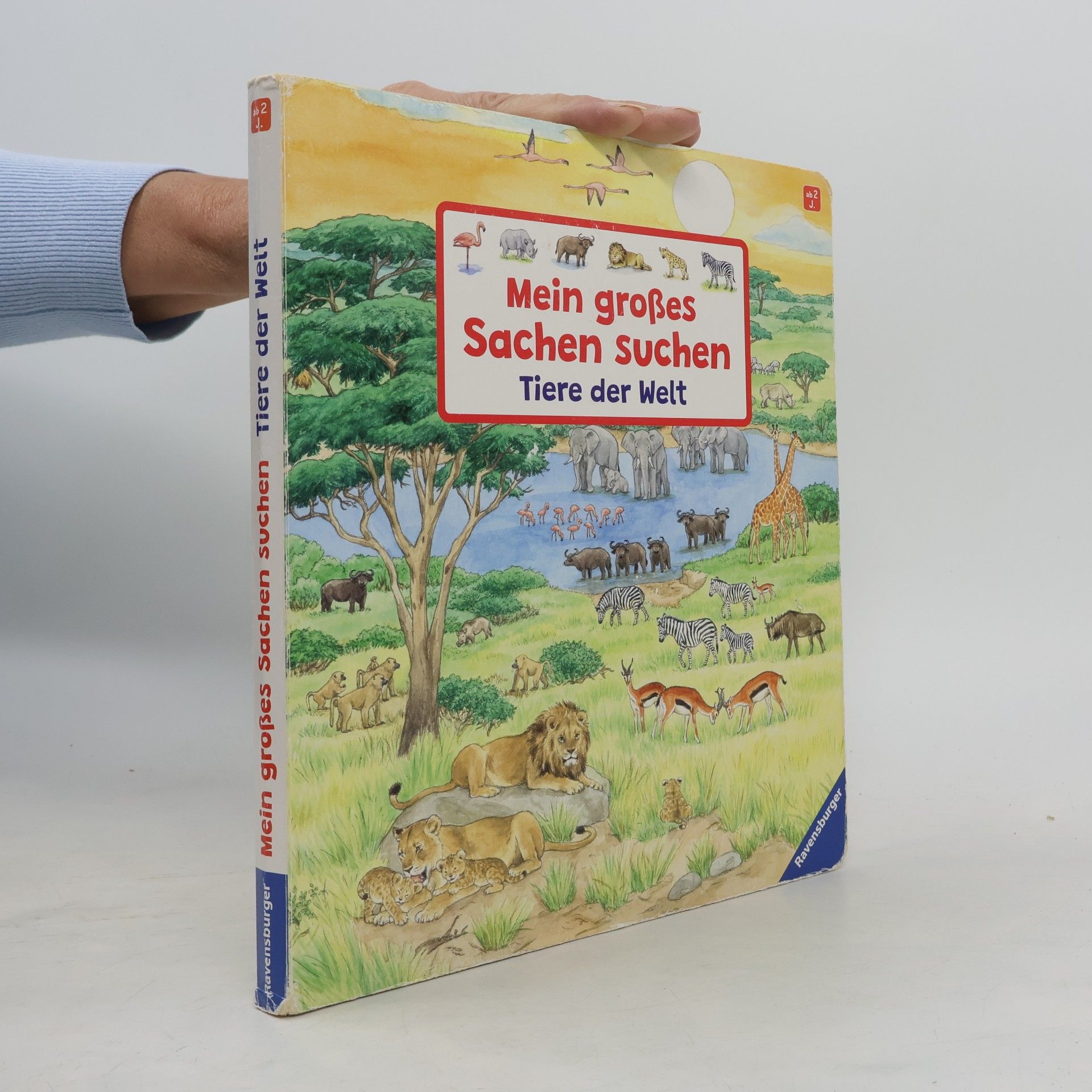 Mein großes Sachen suchen - Tiere der Welt