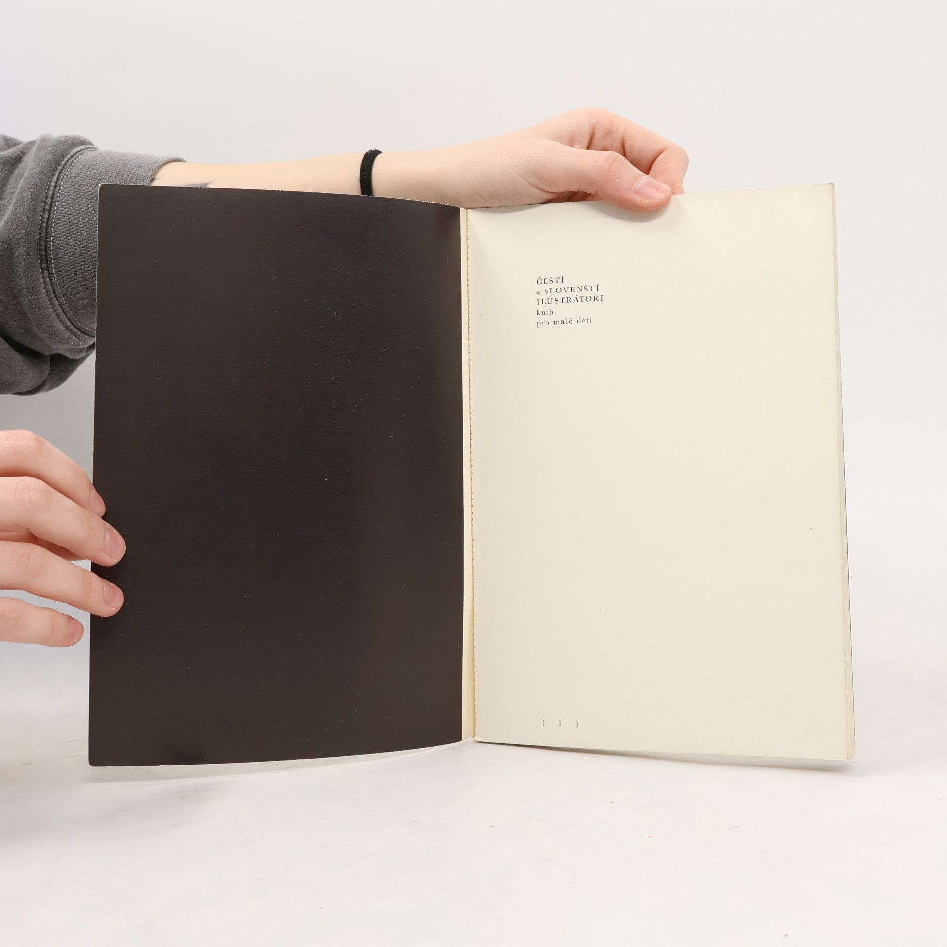 Kolektív autorov Čeští a slovenští ilustrátoři knih pro malé děti