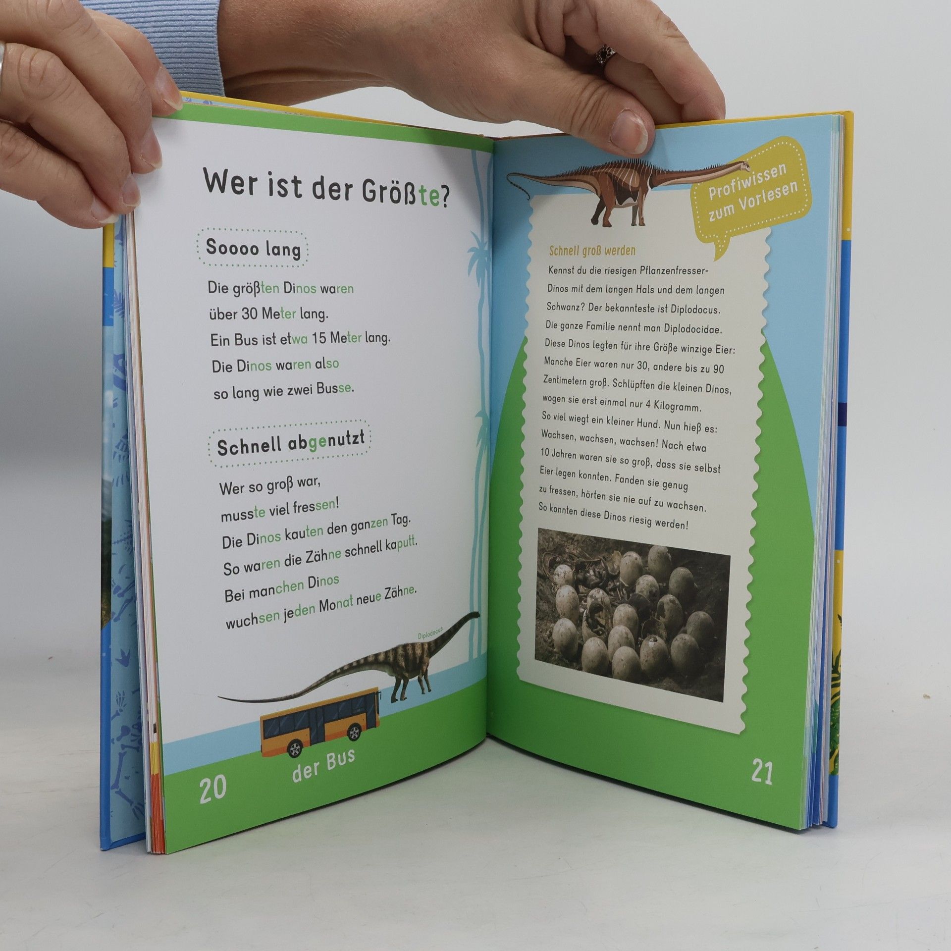 Helen Seeberg Dein Lesestart: Weißt du schon alles über Dinos? Ab 1. Klasse