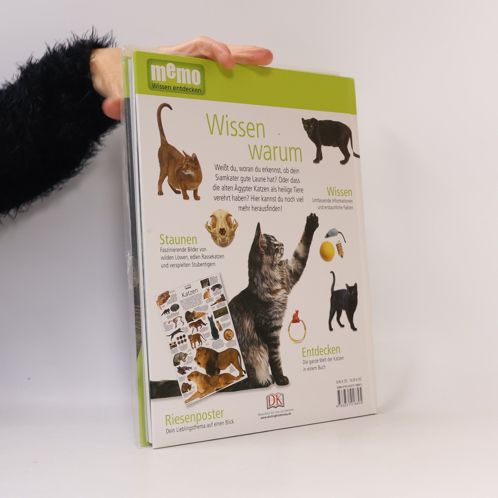 Juliet Clutton-Brock Katzen