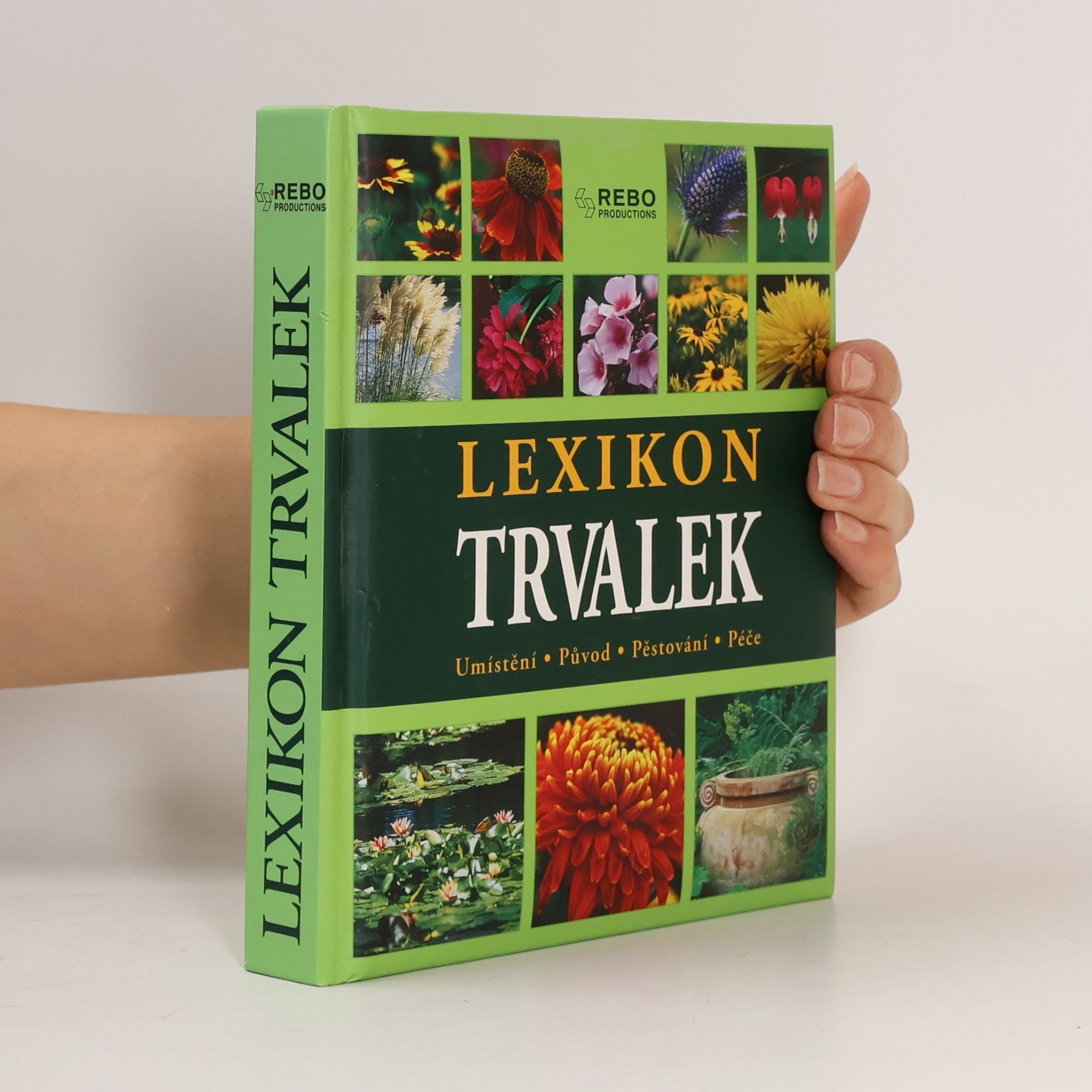 Andrea Rausch Lexikon trvalek : umístění, původ, pěstování, péče