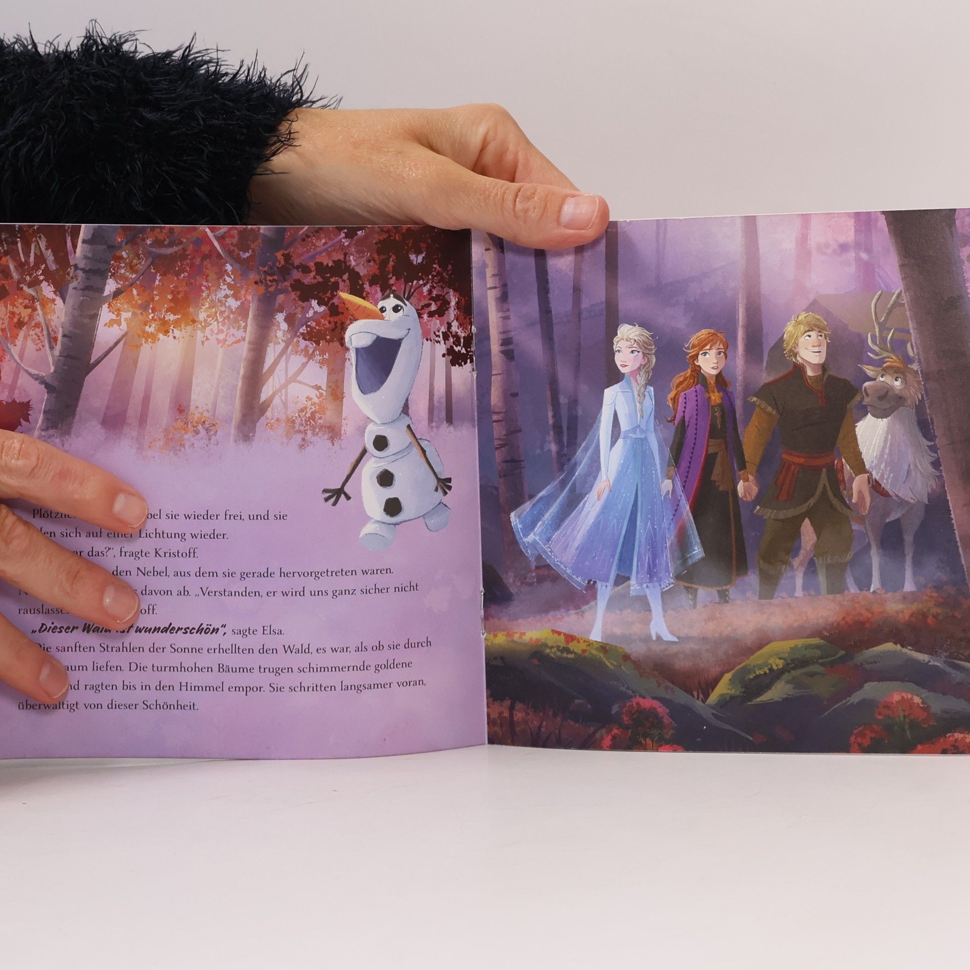 Disney Die Eiskönigin II - Der Verzauberte Wald