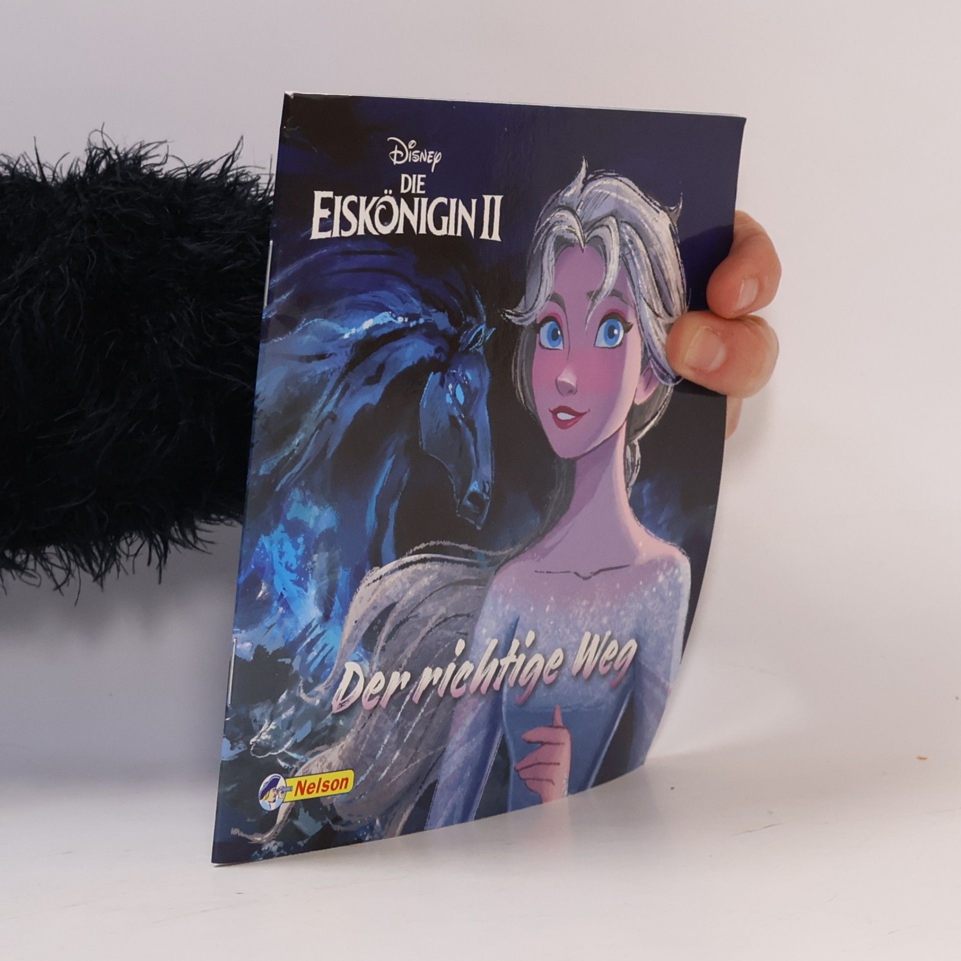 Disney Die Eiskönigin 2: Der richtige Weg