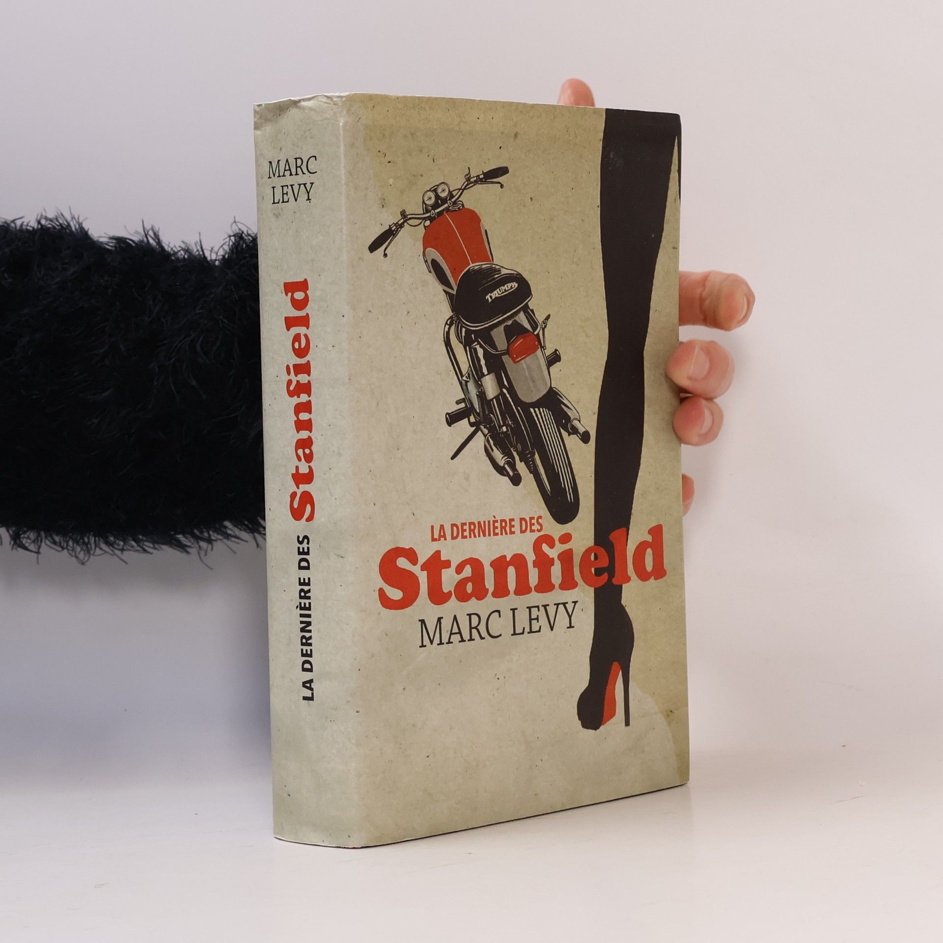 Marc Levy La dernière des Stanfield