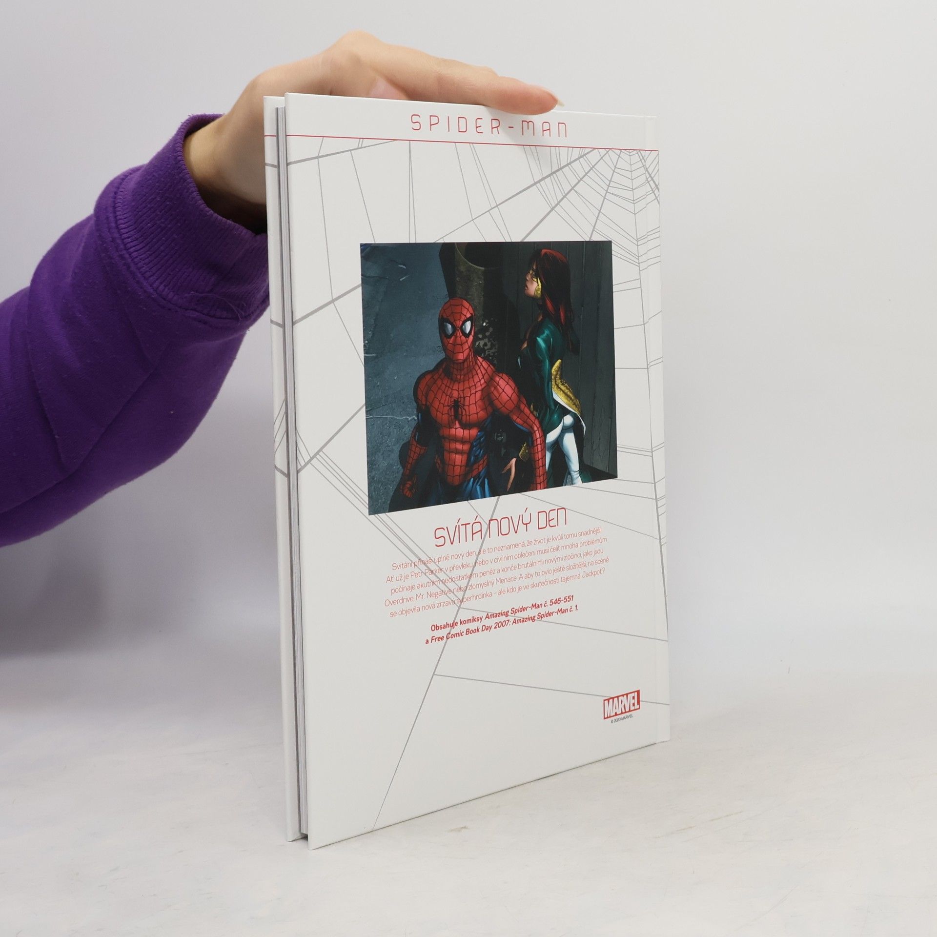 Various authors Spider-Man 19. Ten druhý (1. část)