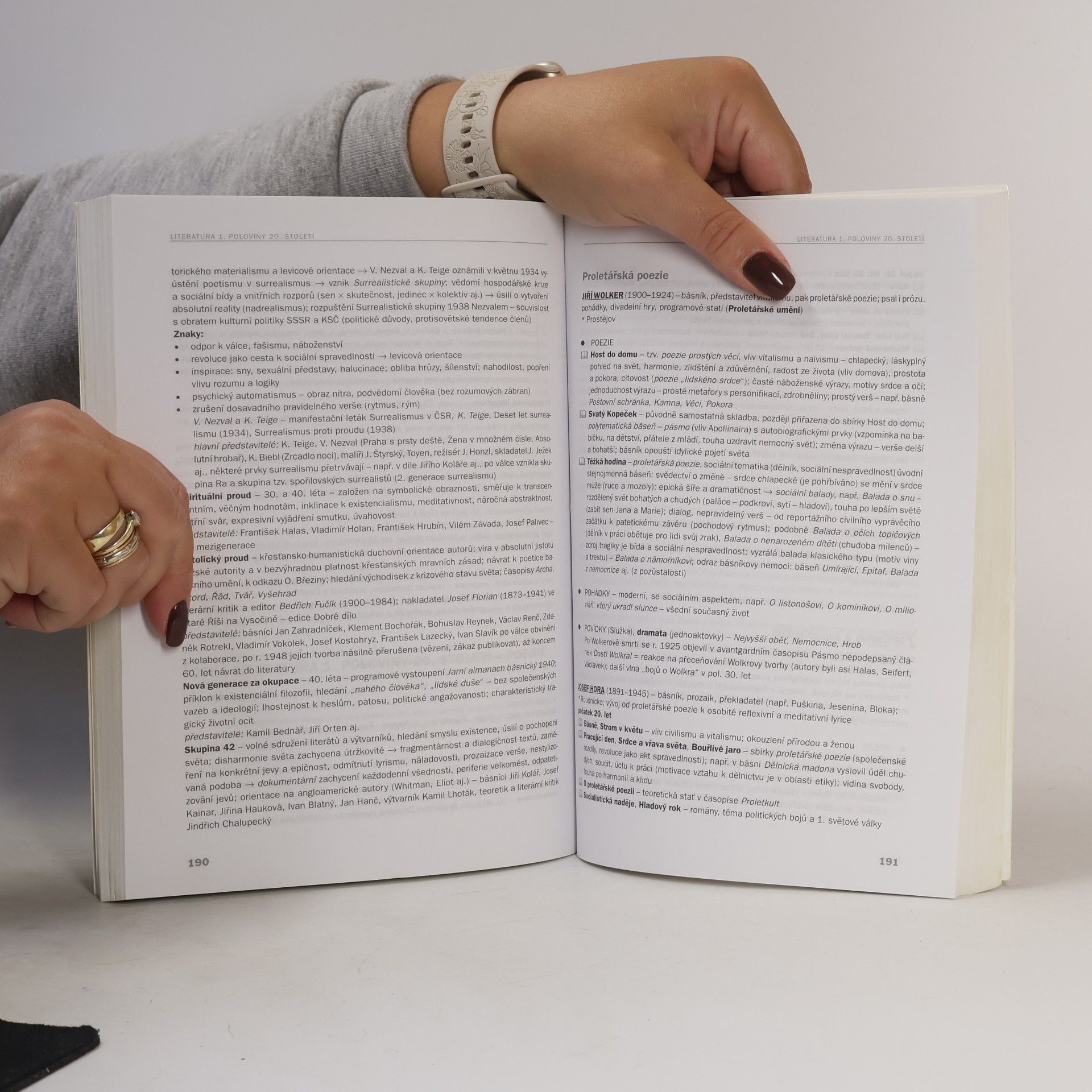 Marie Sochrová Kompletní přehled české a světové literatury