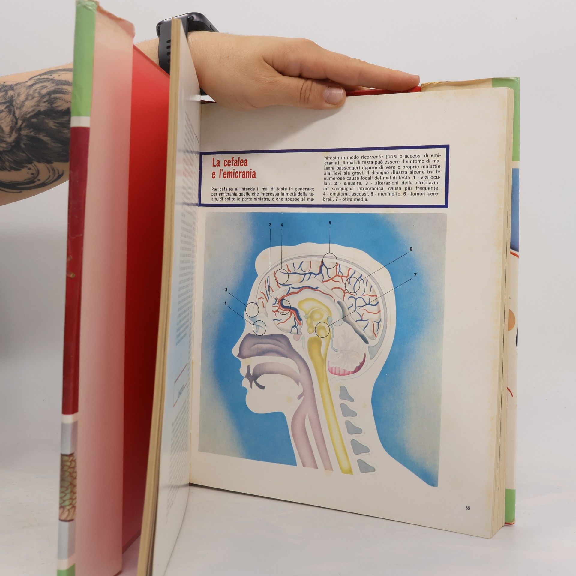 Various authors moderna guida medica