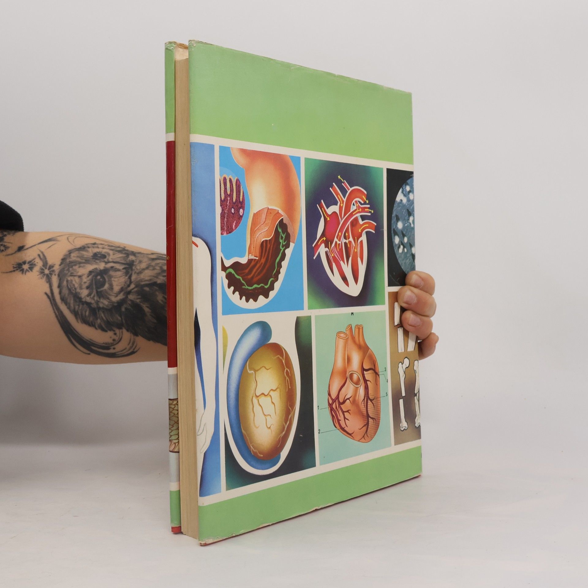Various authors moderna guida medica