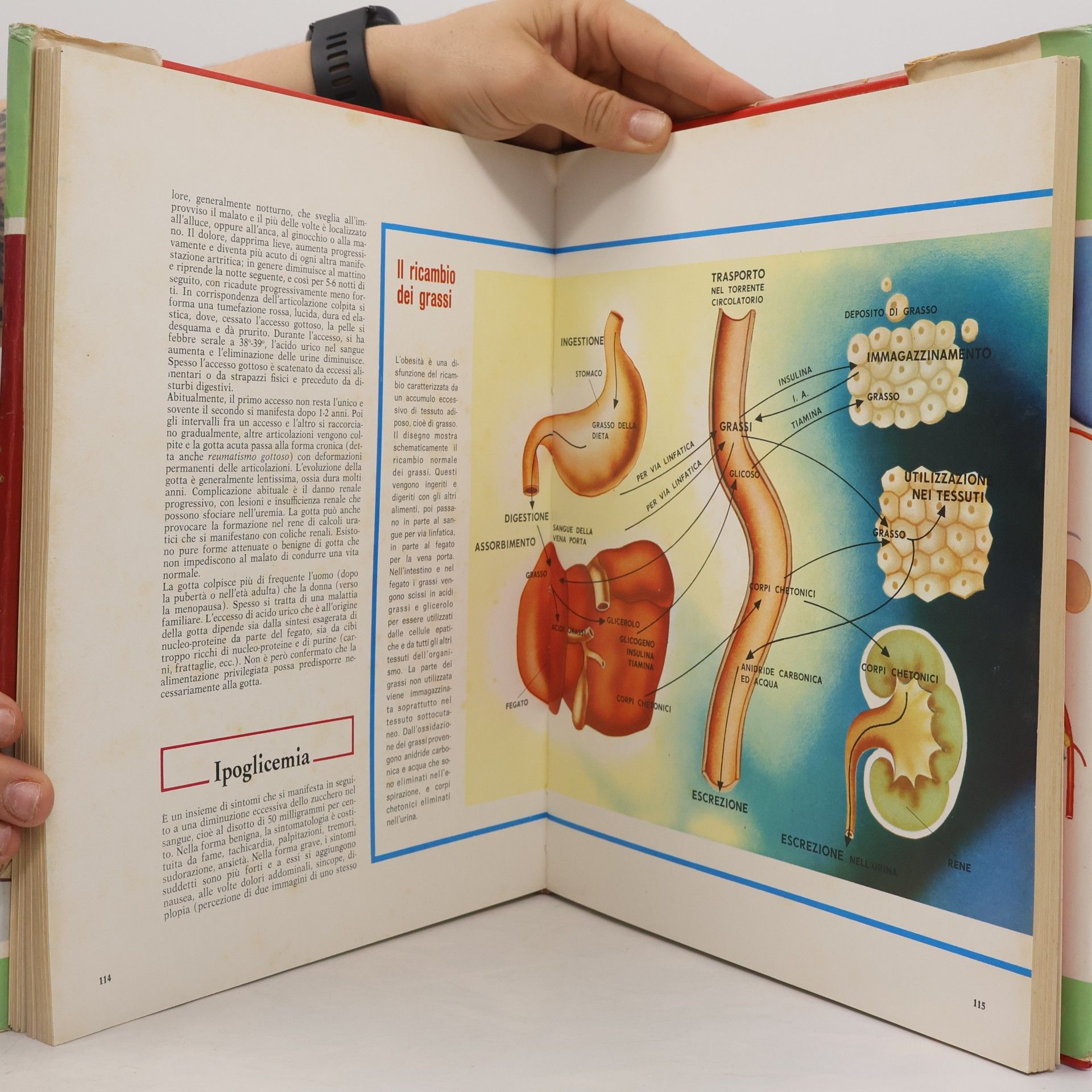 Various authors moderna guida medica