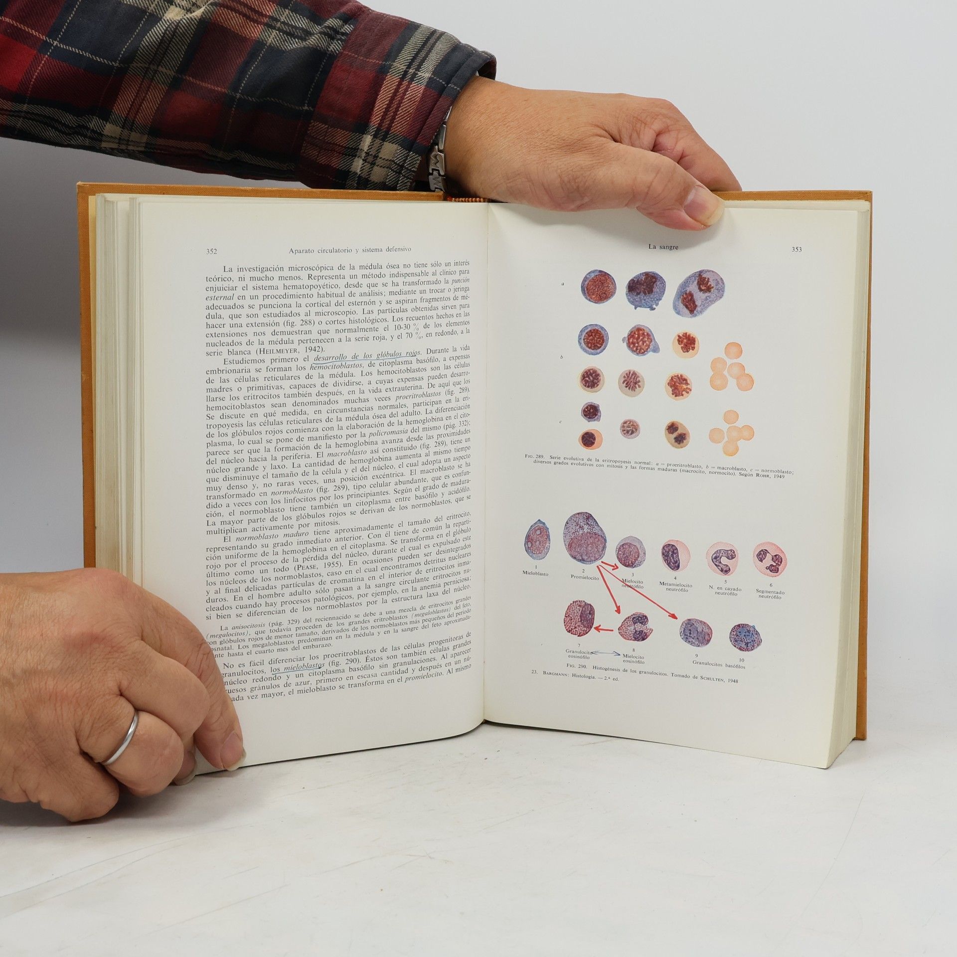 W. Bargmann Histologia y Anatomia
