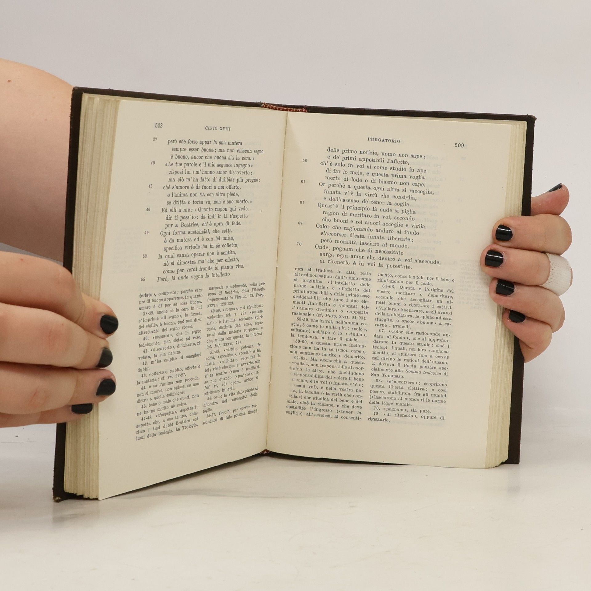 Dante La Divina Commedia