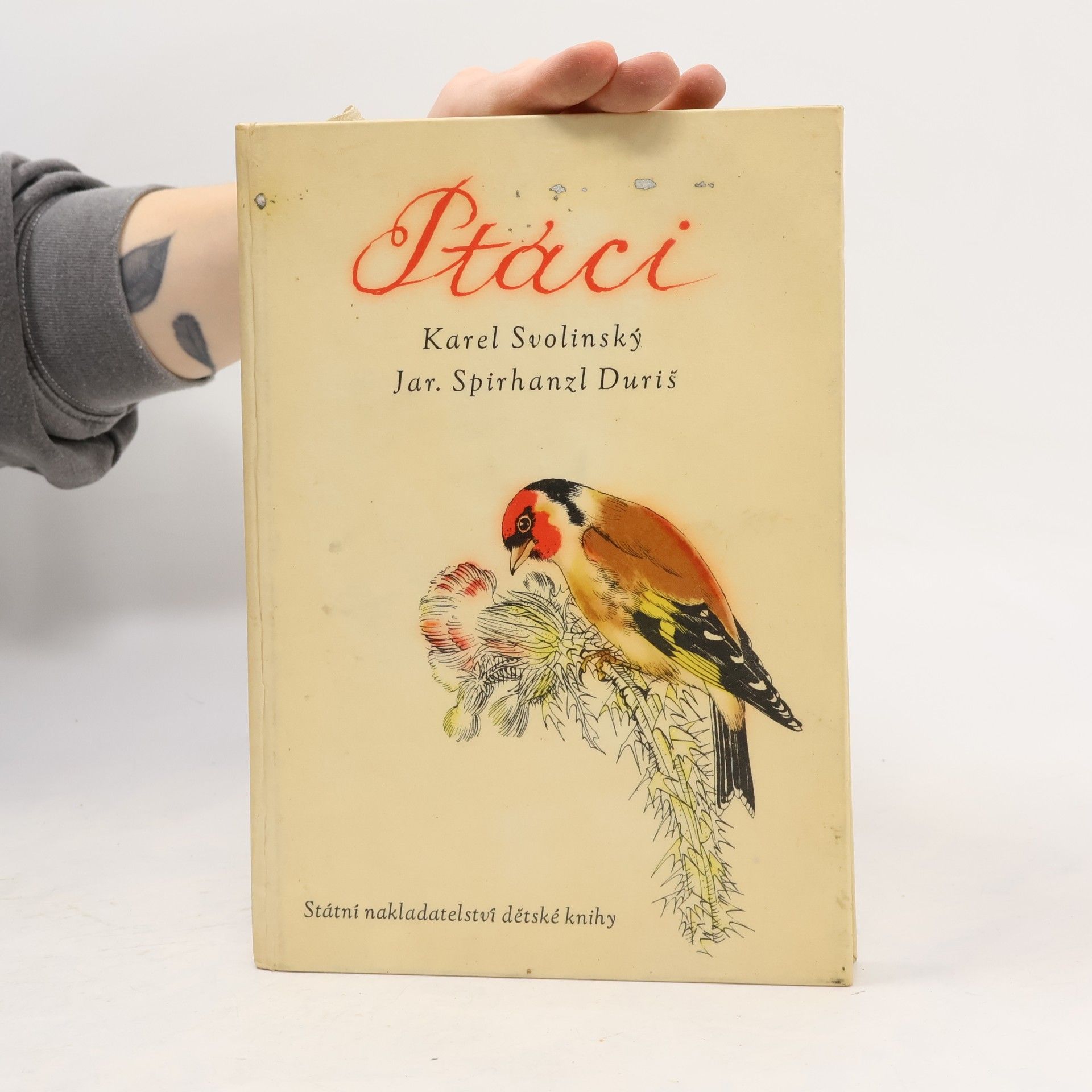 Karel Svolinský Ptáci