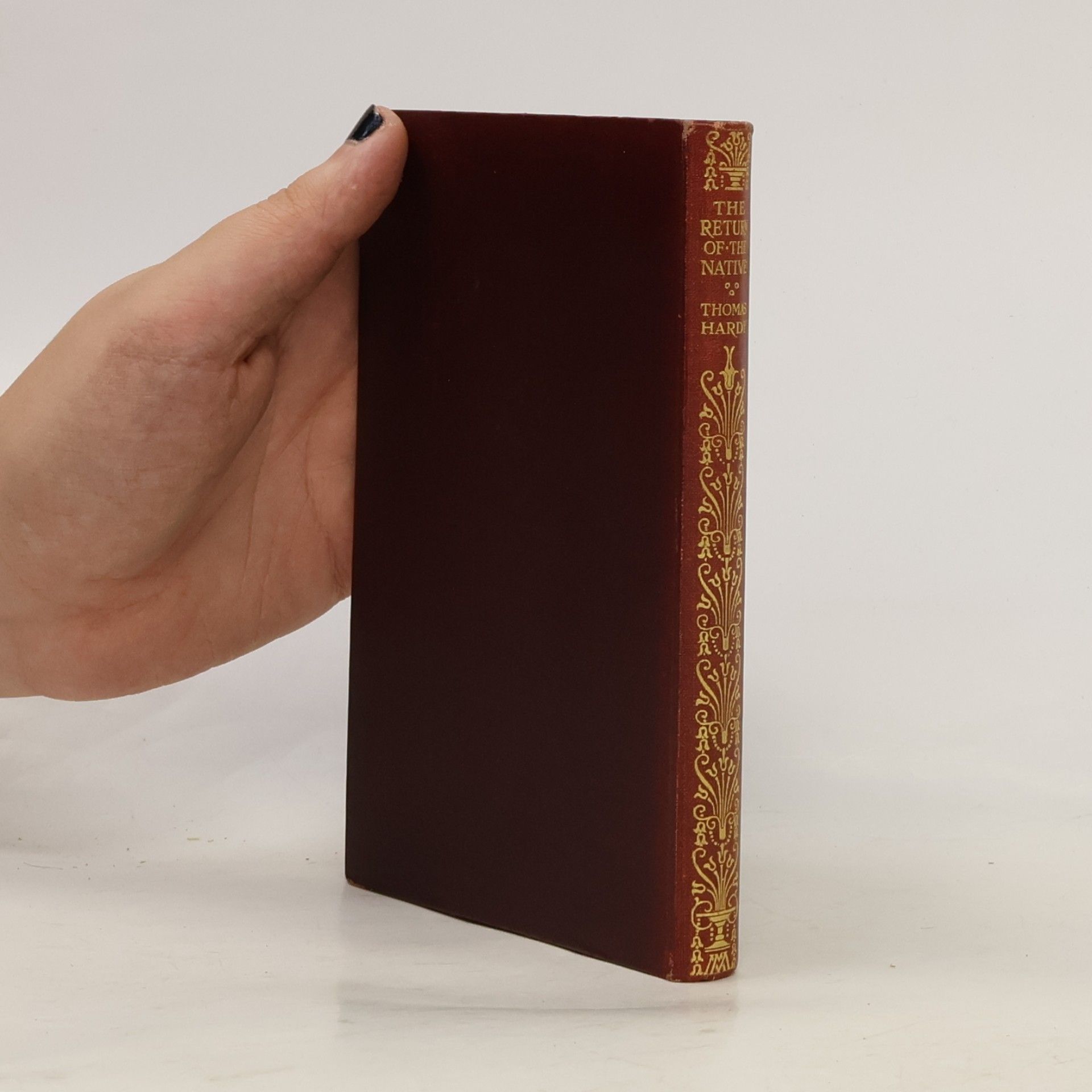 Thomas Hardy The Life and Death of a The Mayor of Casterbridge
