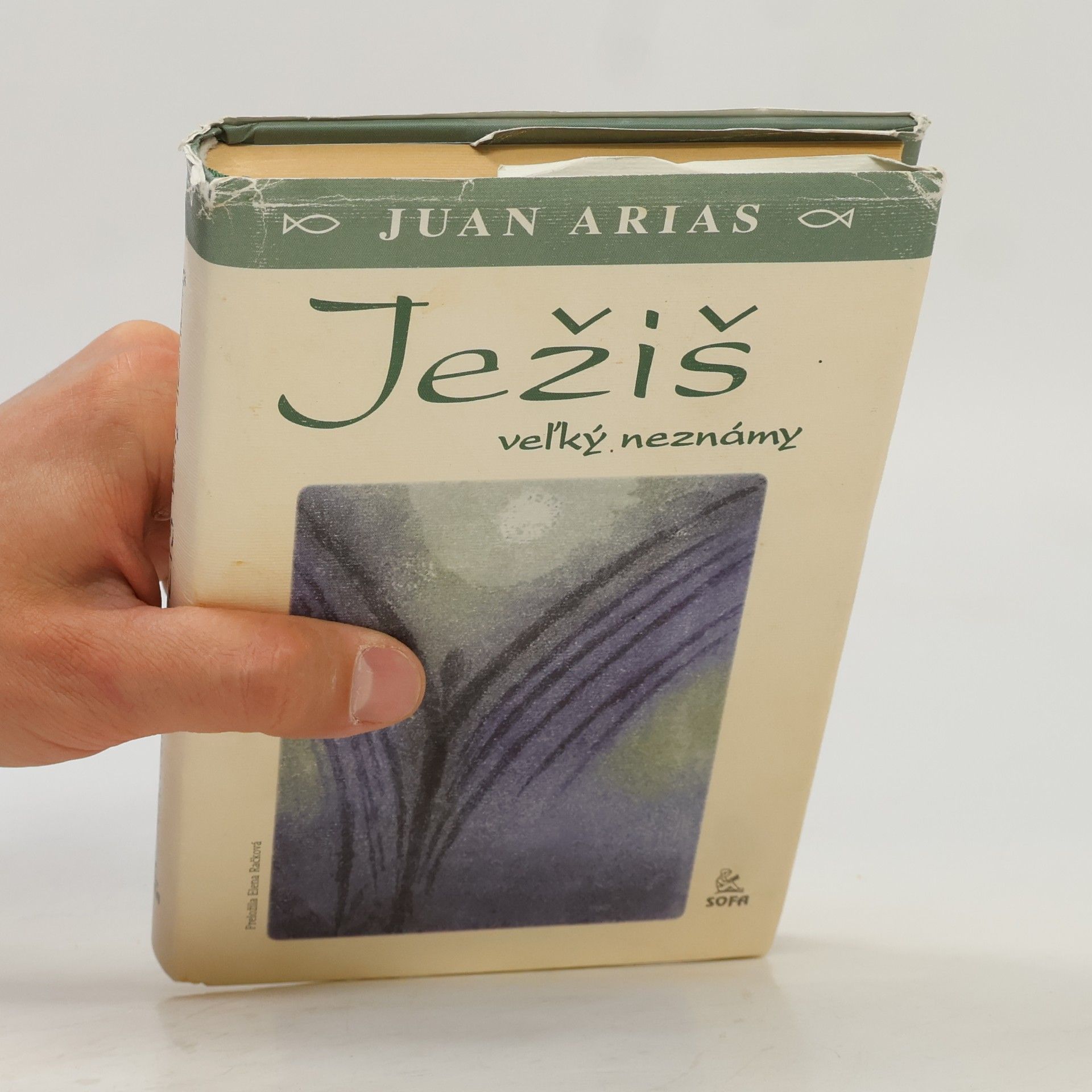 Juan Arias Ježíš veľký neznámy