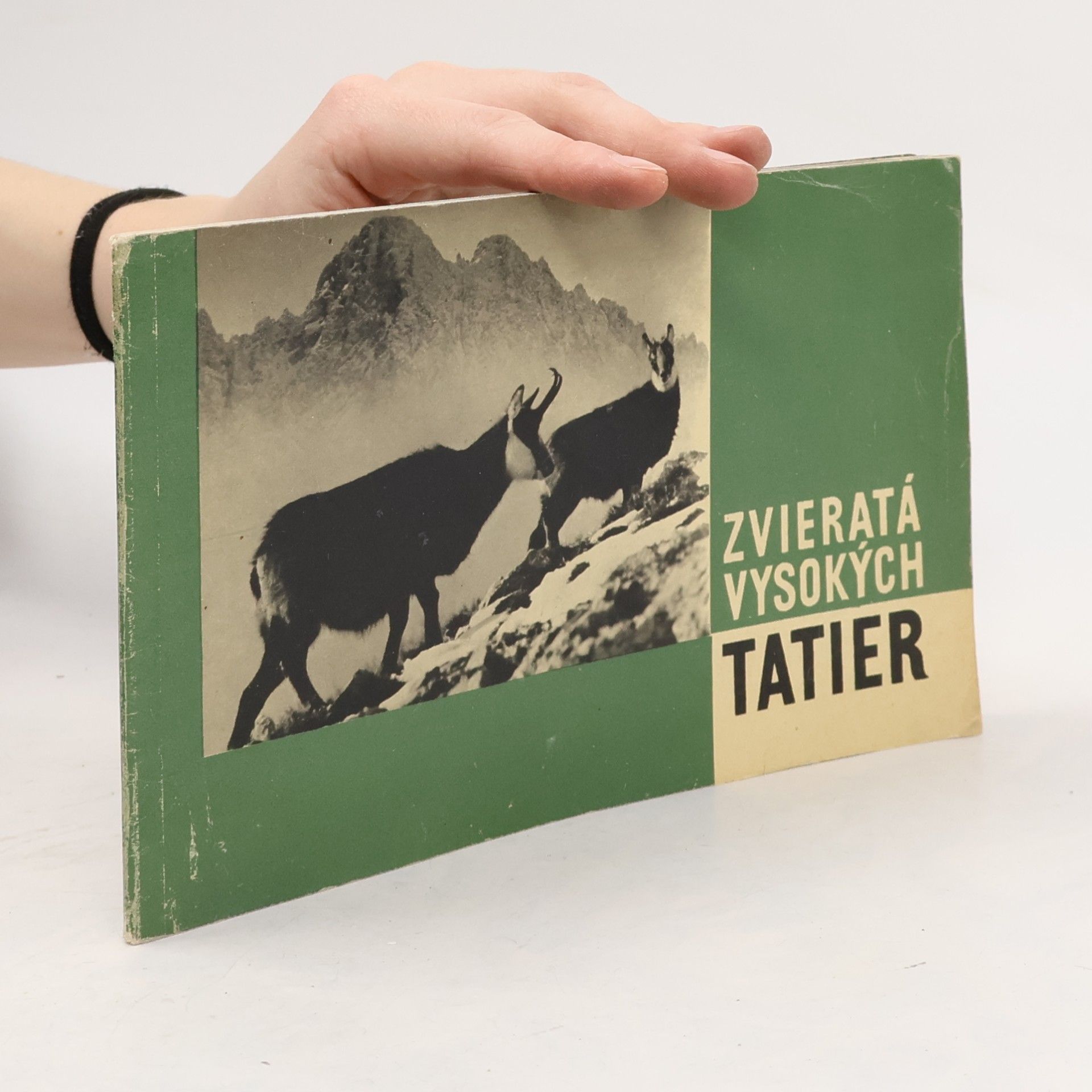Zvieratá Vysokých Tatier