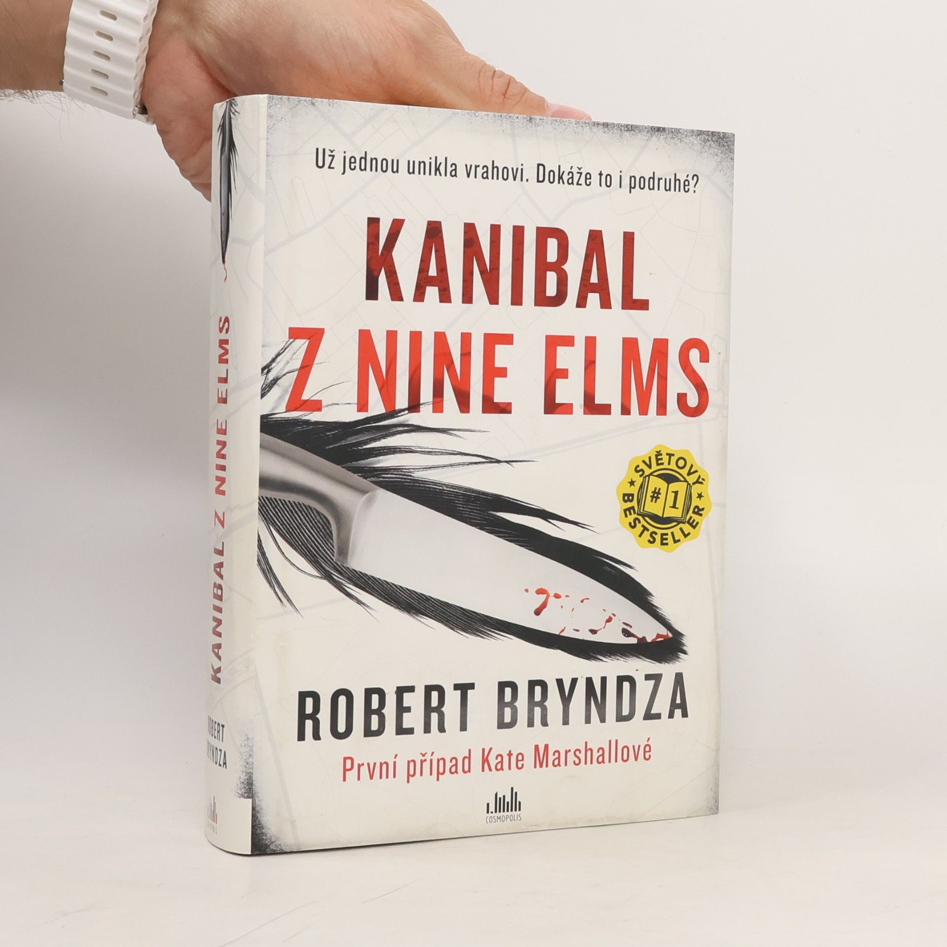 Robert Bryndza Kanibal z Nine Elms