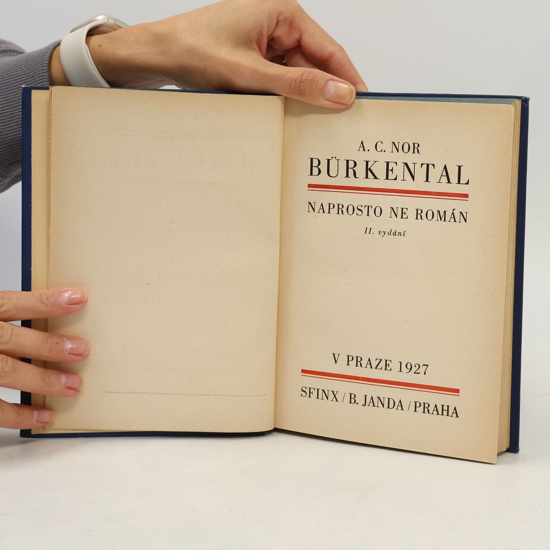 A. C. Nor Bürkenthal : naprosto ne román